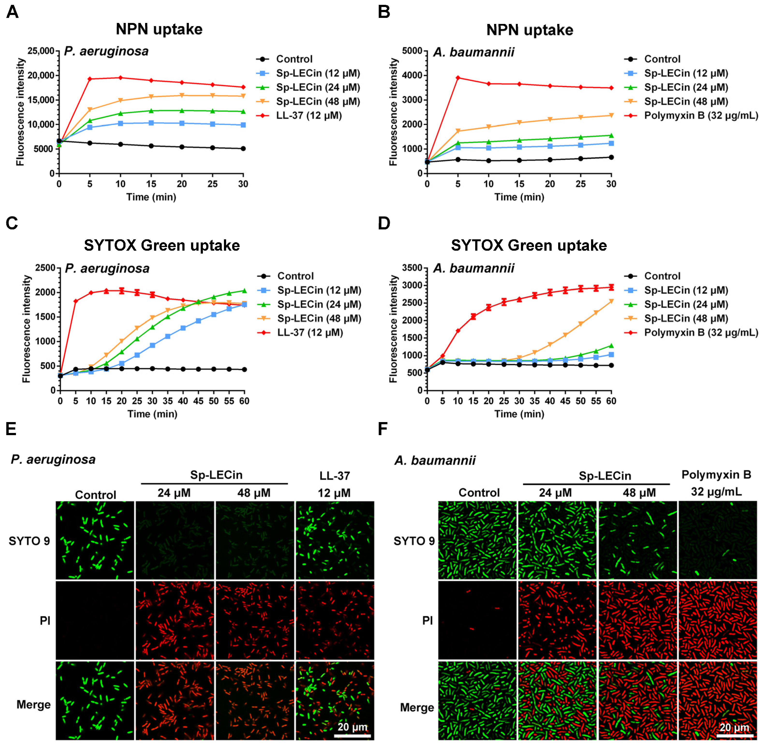 Ijms 24 00267 g003 Ijms 24 00267 g003
