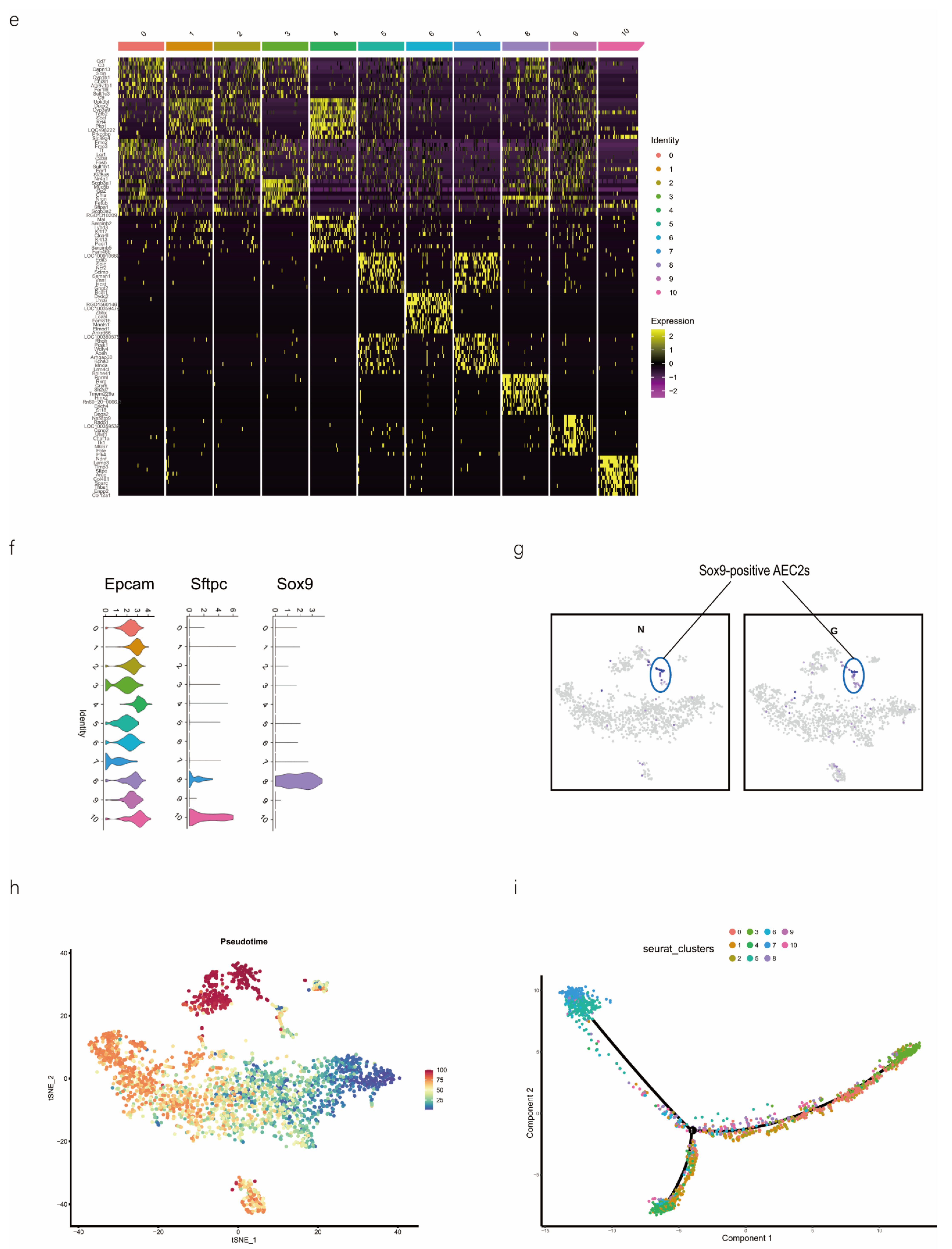 Ijms 24 00277 g001b Ijms 24 00277 g001b