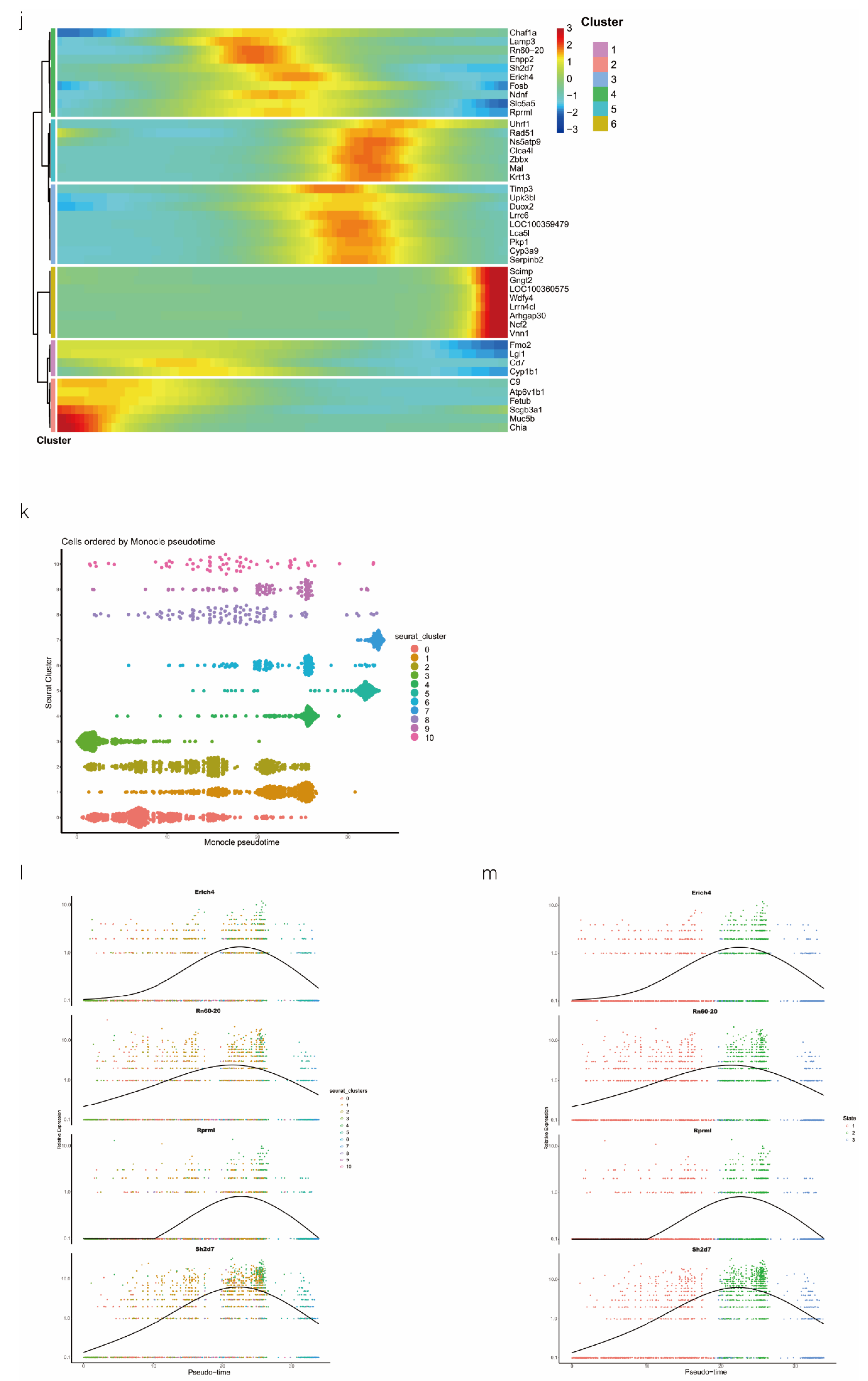 Ijms 24 00277 g001c Ijms 24 00277 g001c