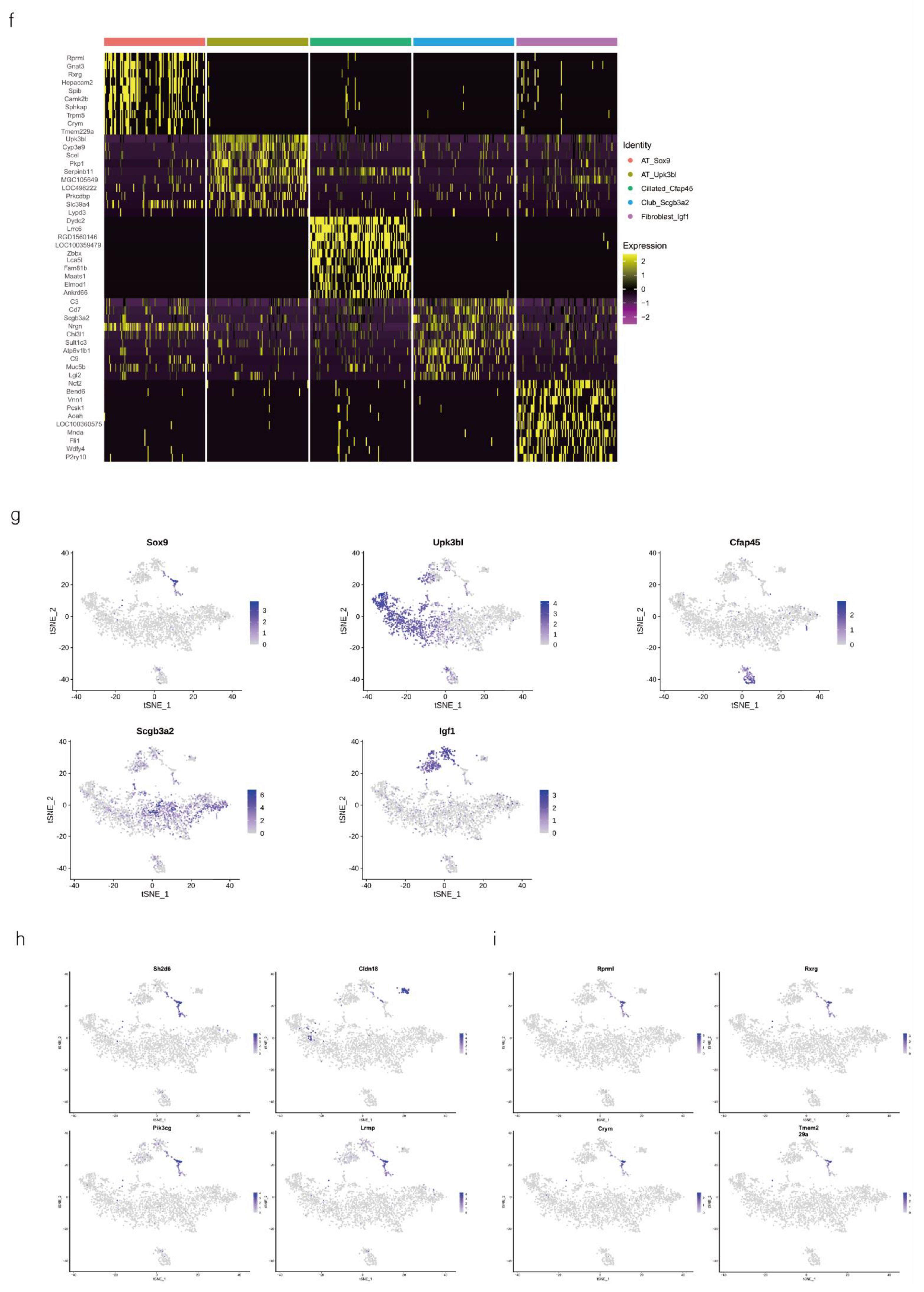 Ijms 24 00277 g002b Ijms 24 00277 g002b