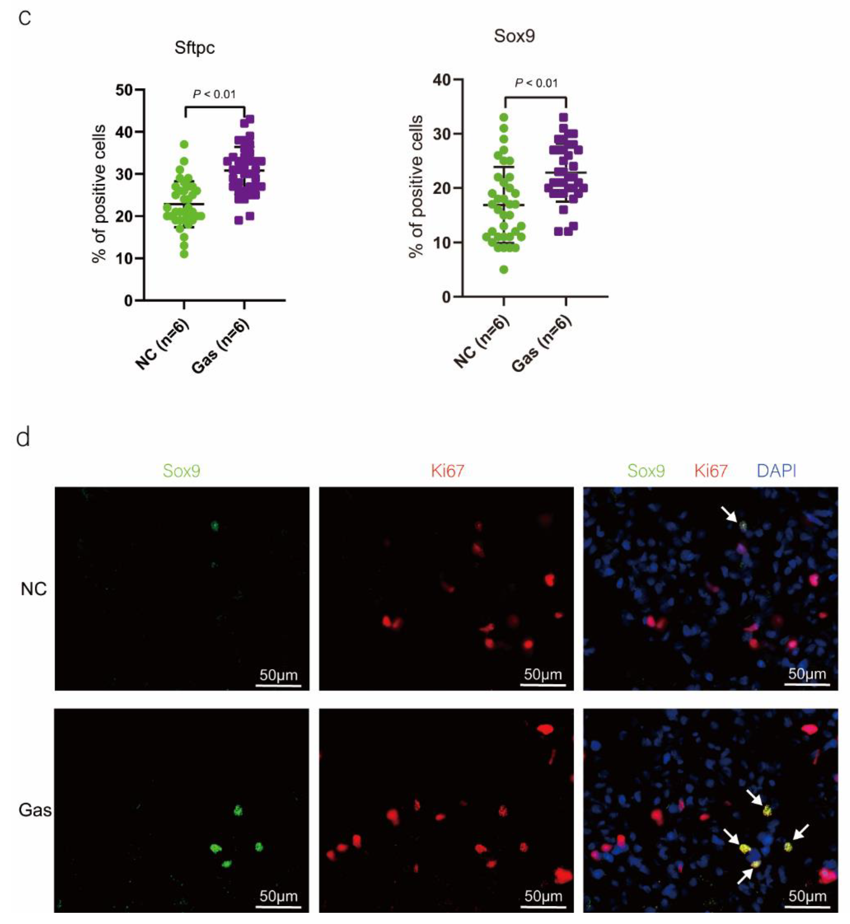Ijms 24 00277 g003b Ijms 24 00277 g003b