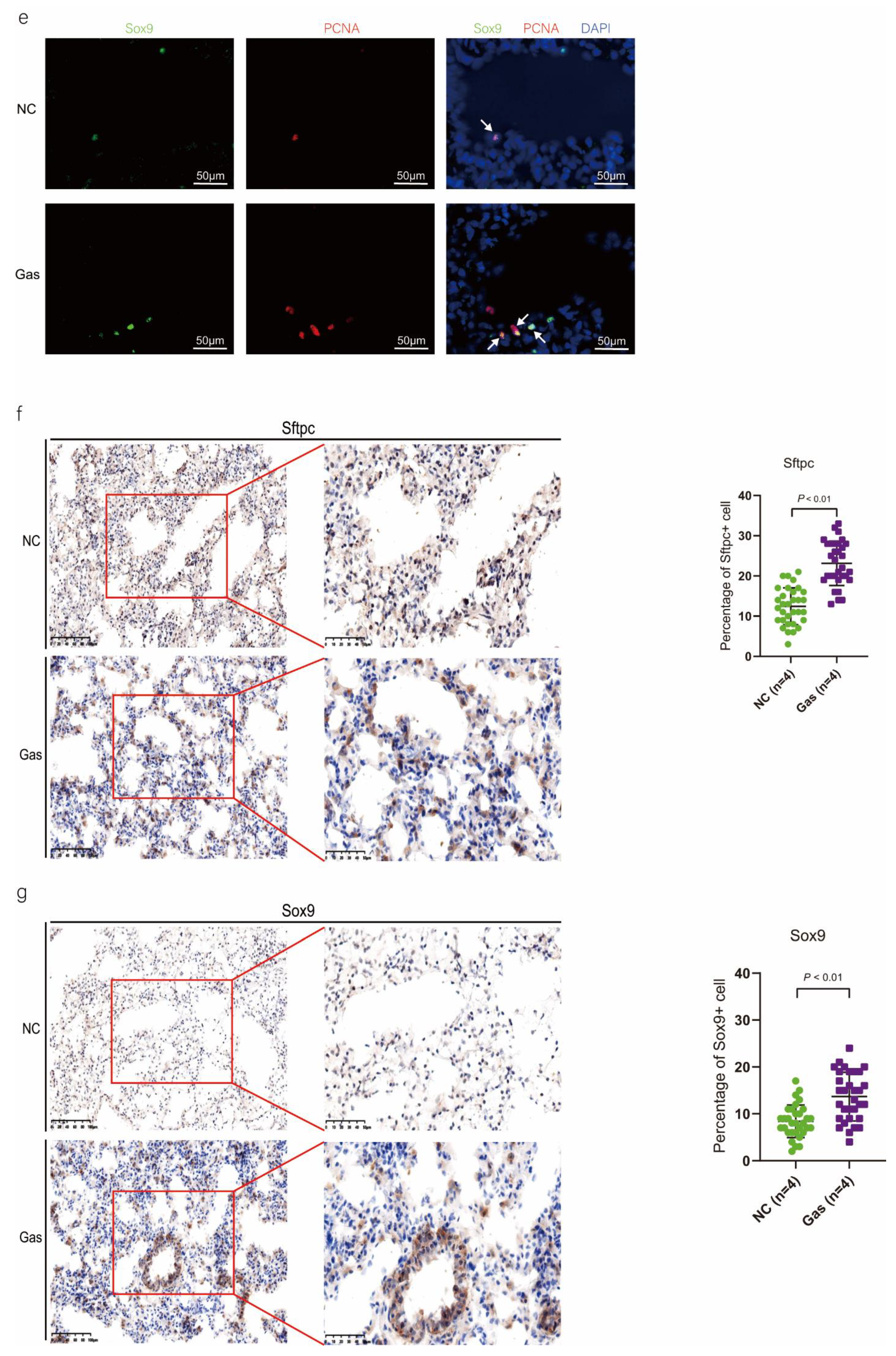 Ijms 24 00277 g003c Ijms 24 00277 g003c