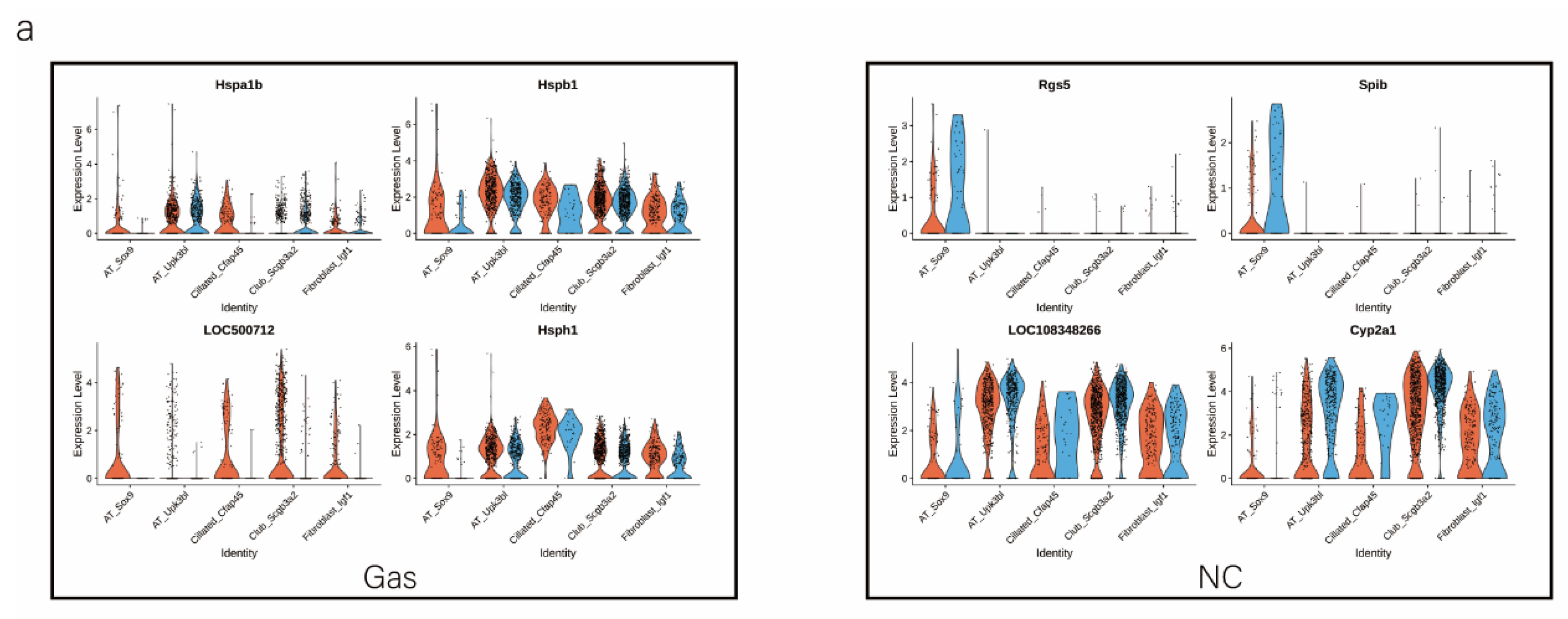 Ijms 24 00277 g004a Ijms 24 00277 g004a