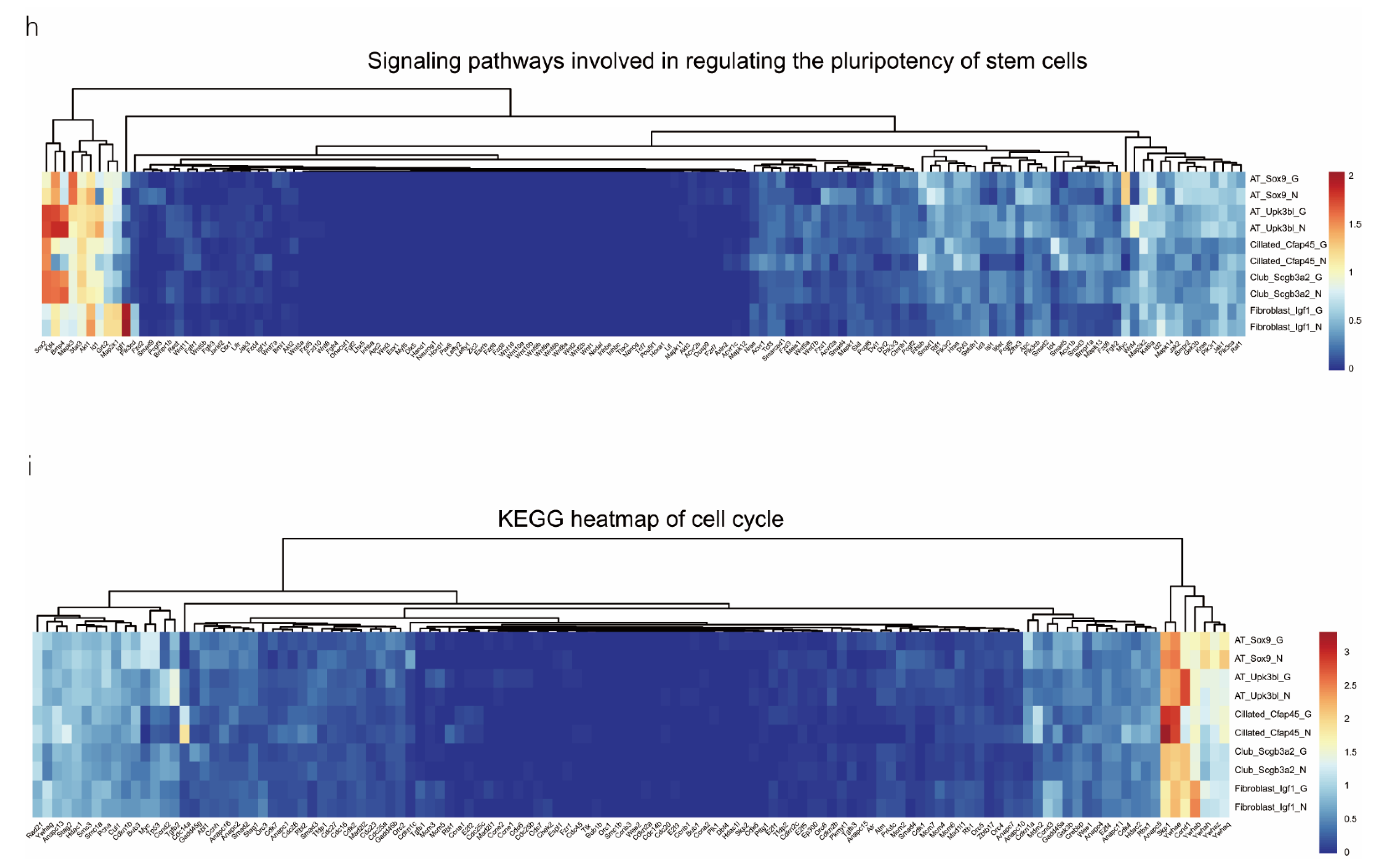 Ijms 24 00277 g004c Ijms 24 00277 g004c