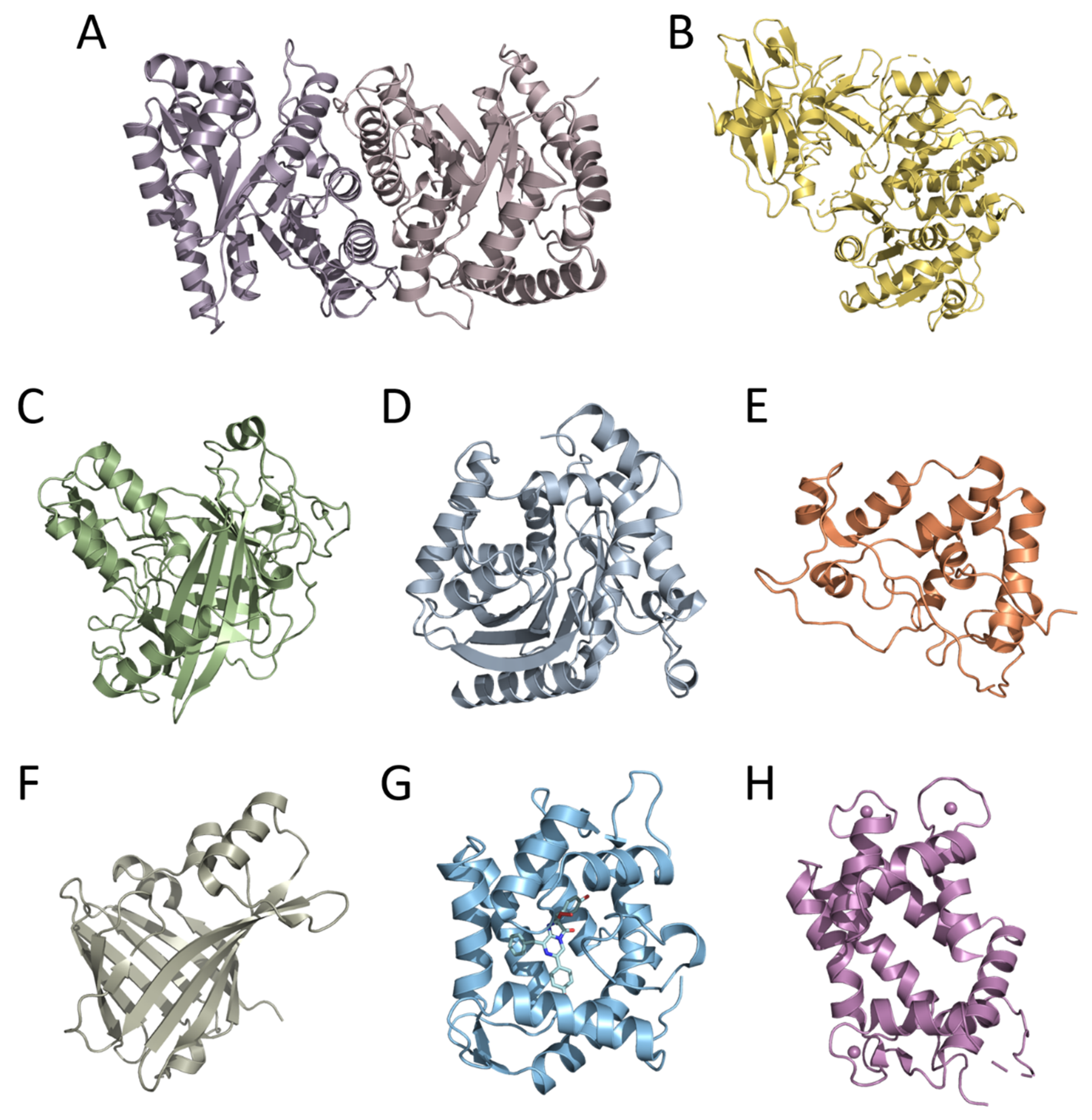 Ijms 24 00281 g001 Ijms 24 00281 g001