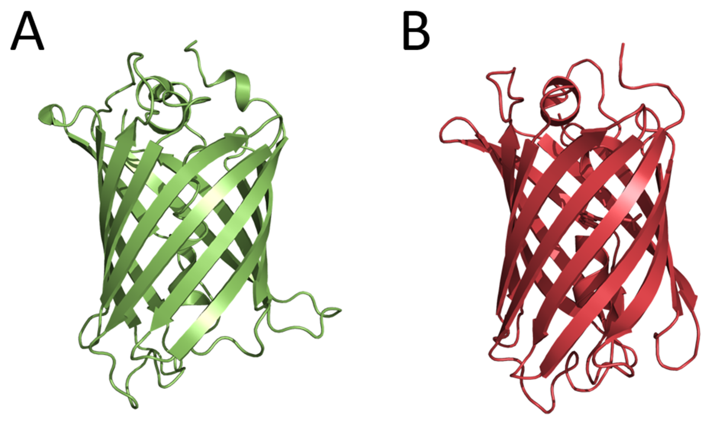 Ijms 24 00281 g002 Ijms 24 00281 g002