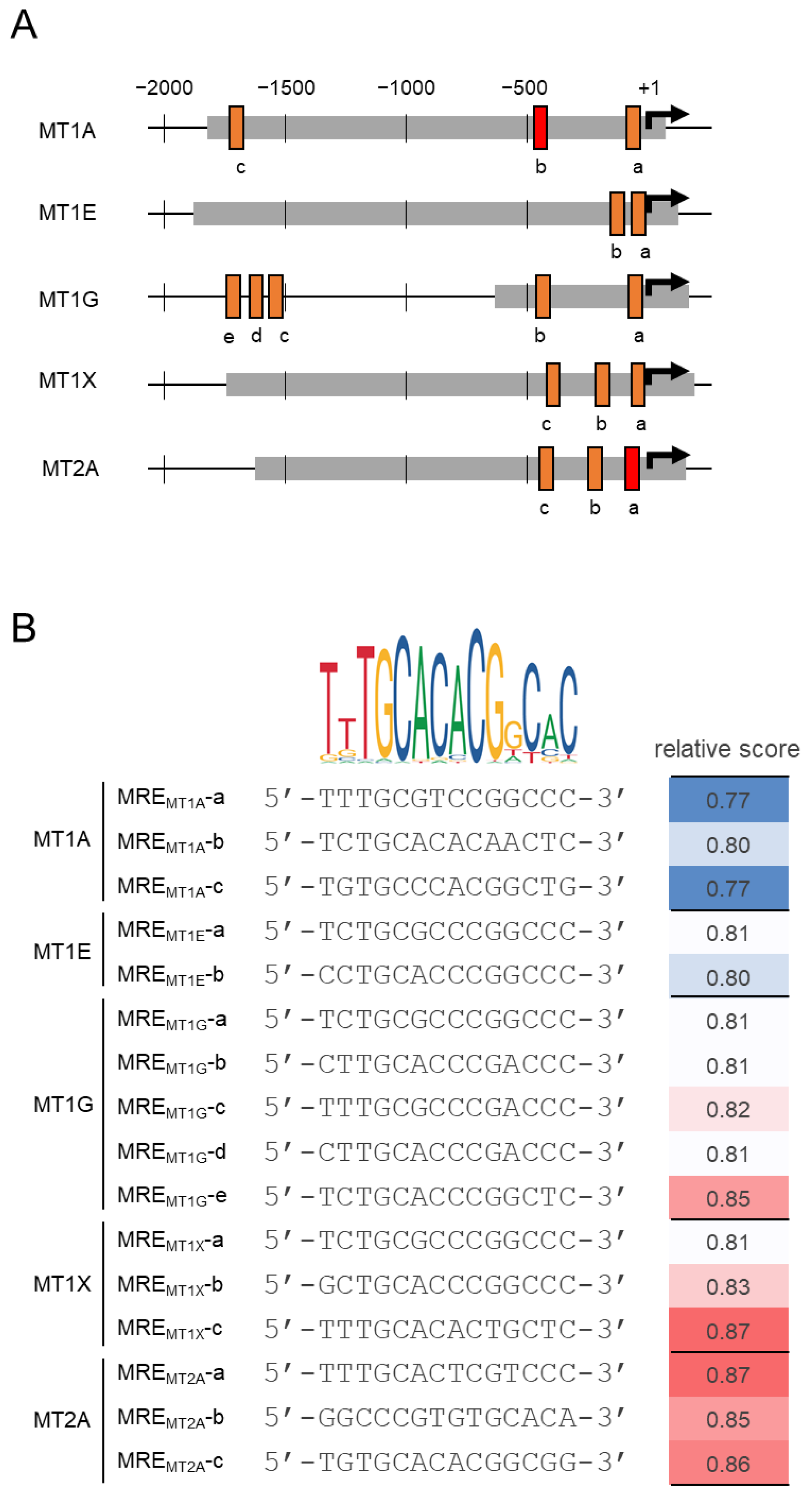 Ijms 24 00283 g001 Ijms 24 00283 g001