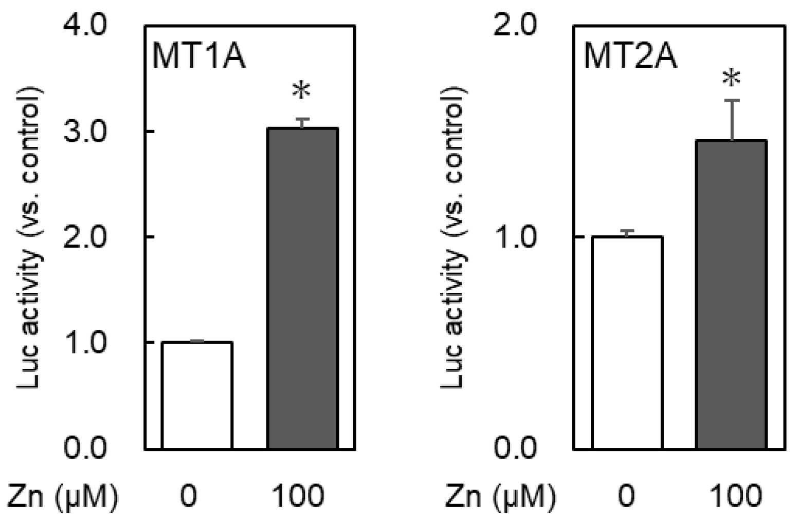 Ijms 24 00283 g004 Ijms 24 00283 g004