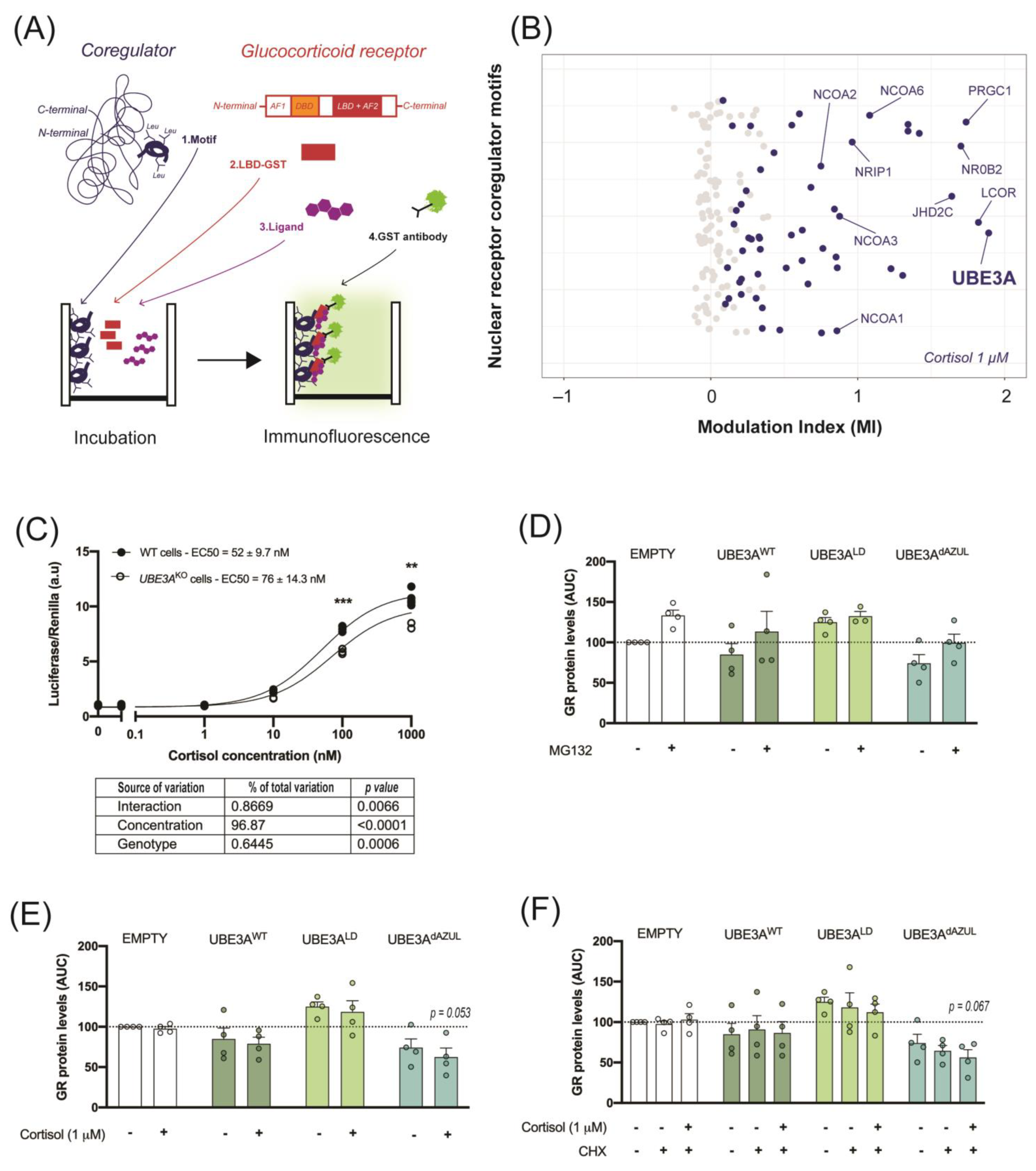 Ijms 24 00303 g001 Ijms 24 00303 g001