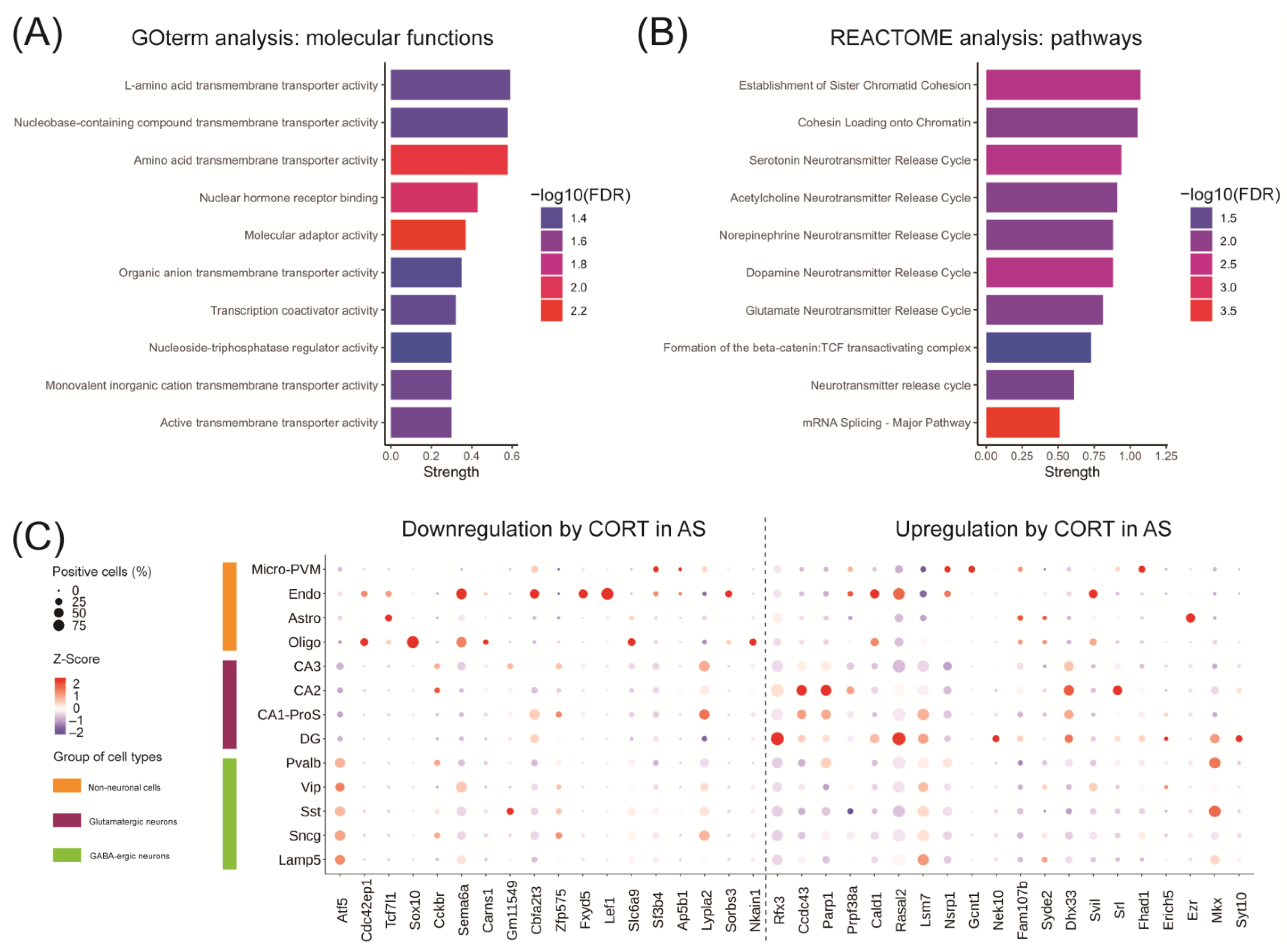 Ijms 24 00303 g004 Ijms 24 00303 g004