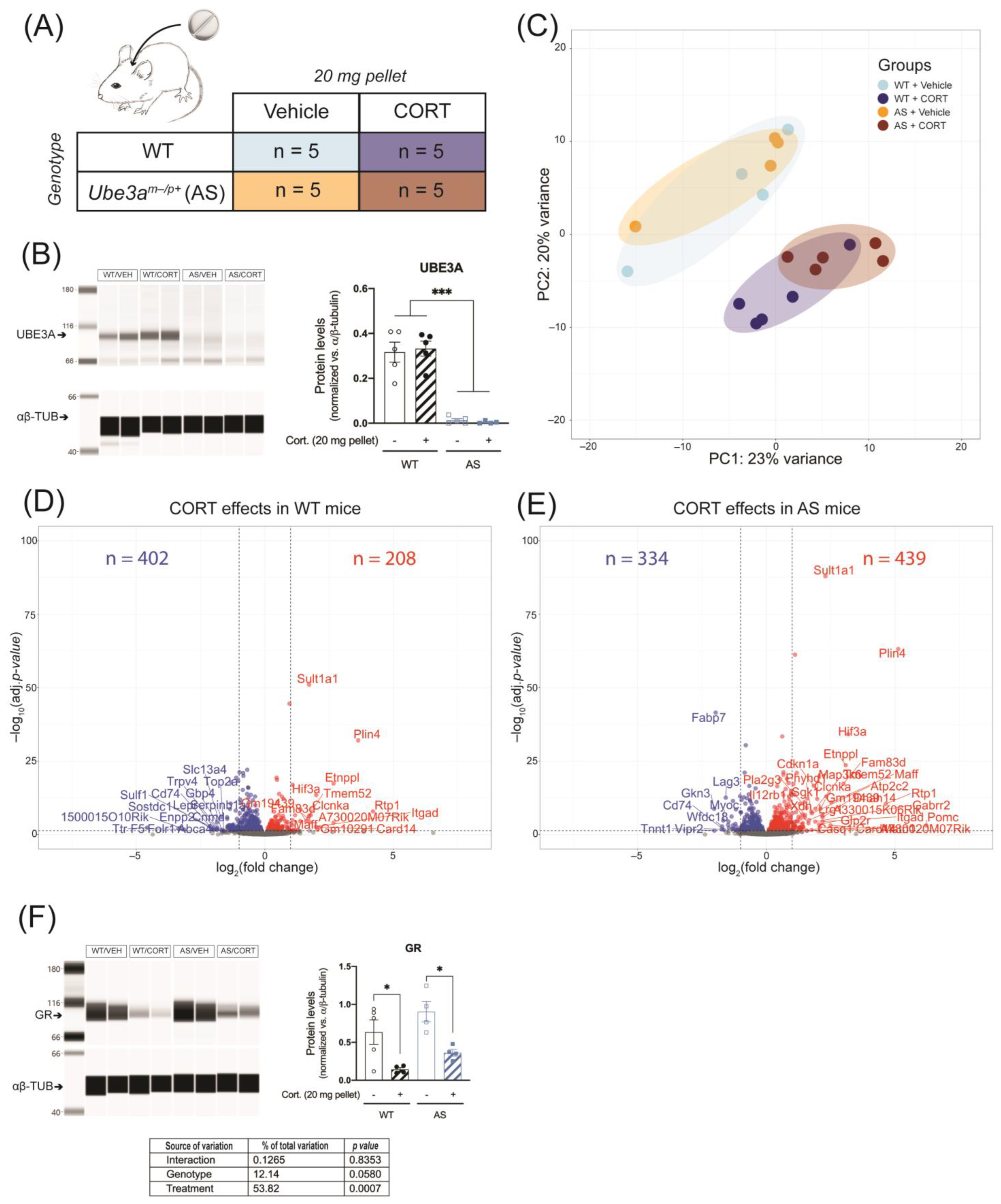Ijms 24 00303 g005 Ijms 24 00303 g005