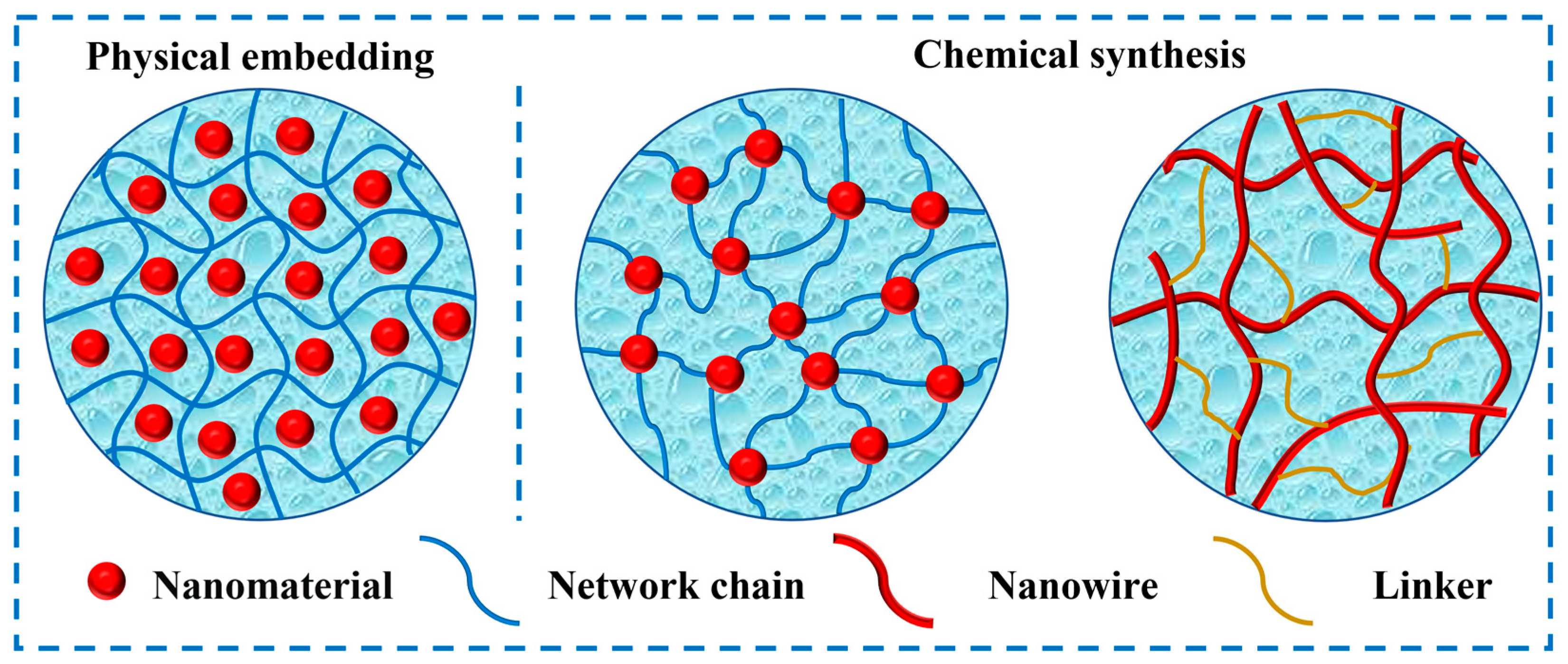 Ijms 24 00336 g001 Ijms 24 00336 g001