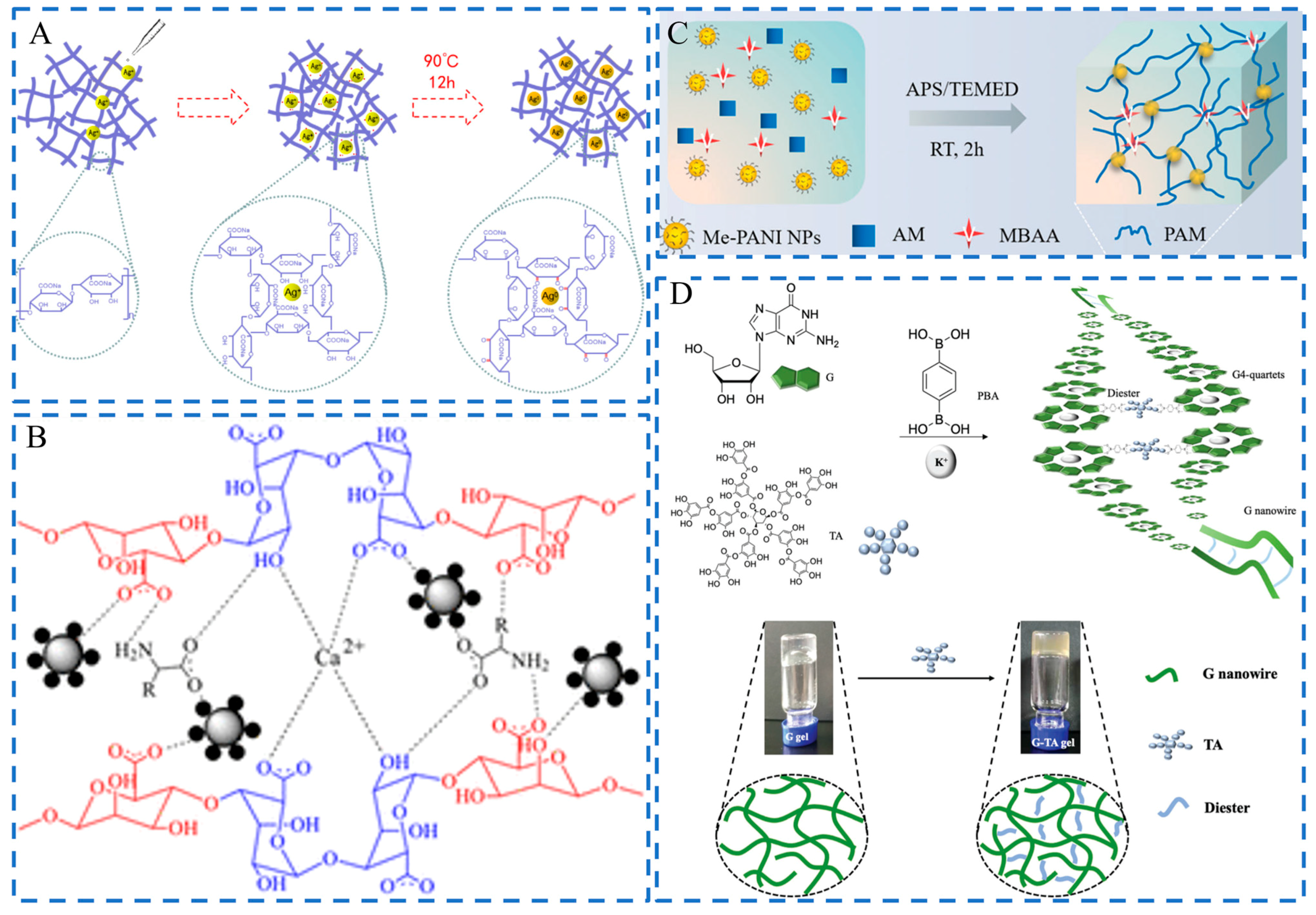 Ijms 24 00336 g002 Ijms 24 00336 g002