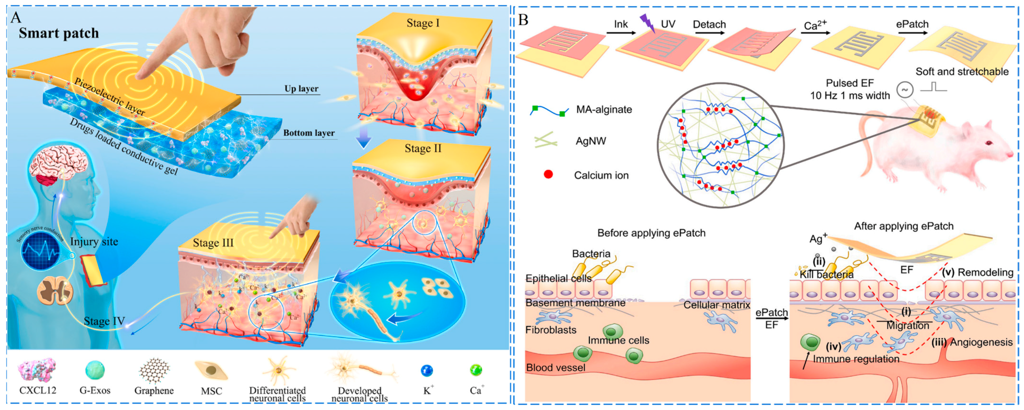 Ijms 24 00336 g006 Ijms 24 00336 g006