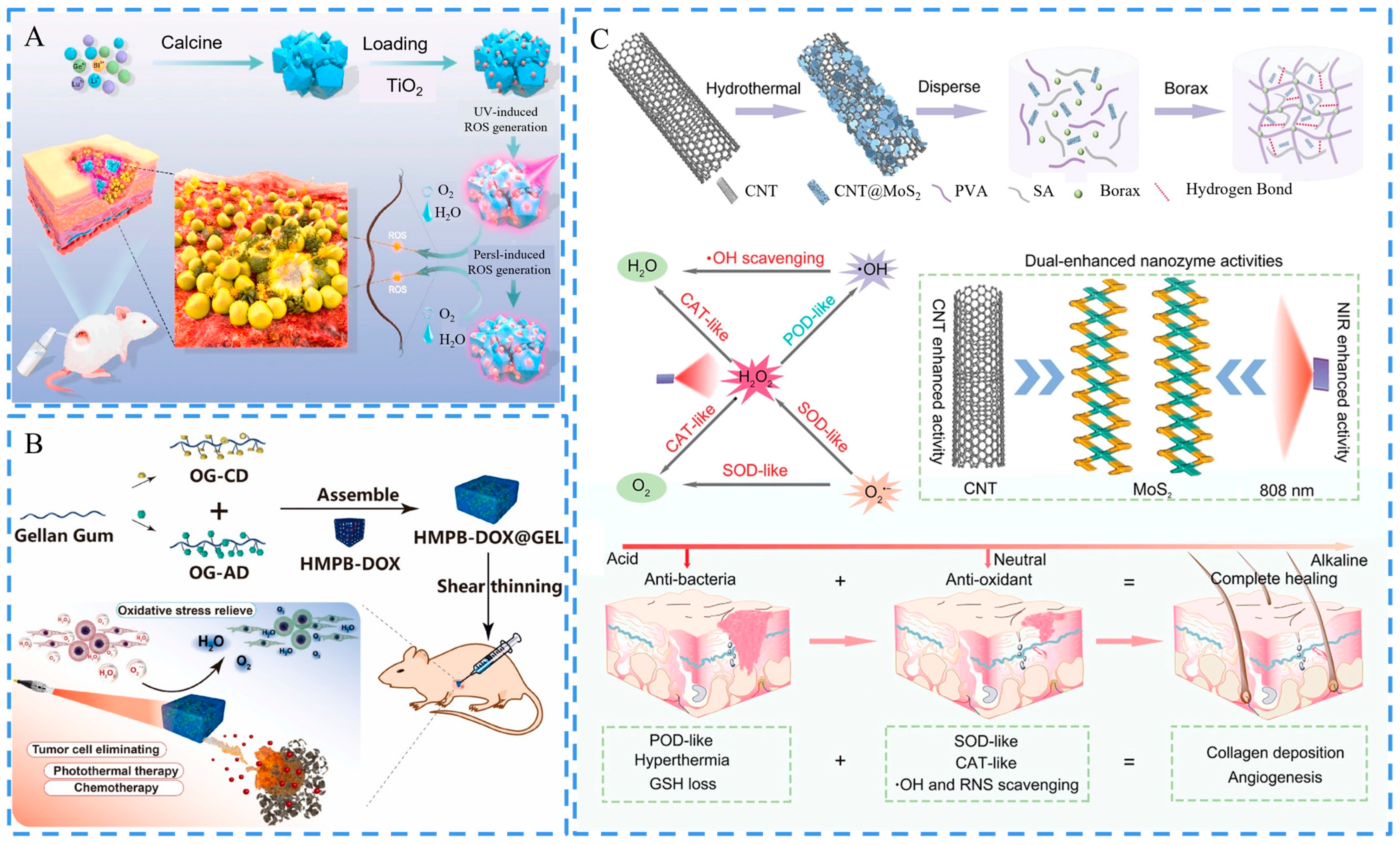Ijms 24 00336 g007 Ijms 24 00336 g007
