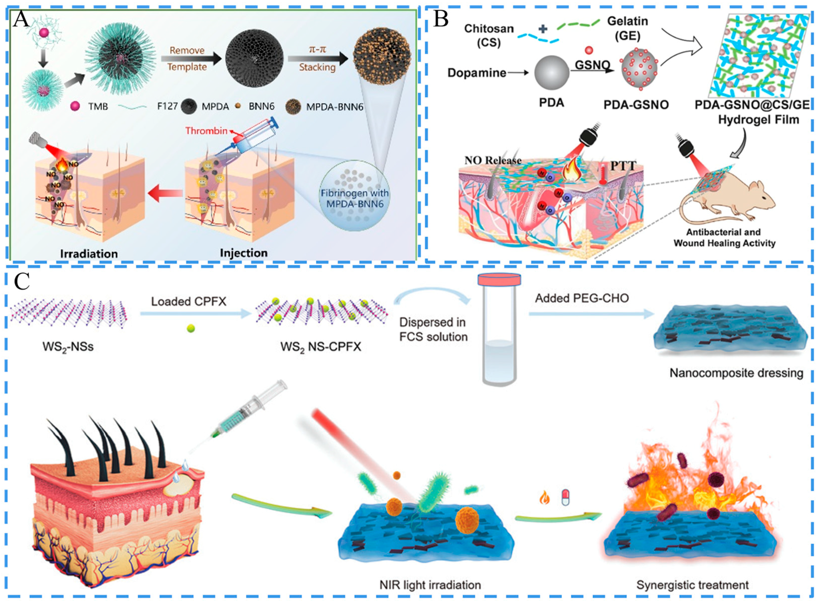 Ijms 24 00336 g008 Ijms 24 00336 g008