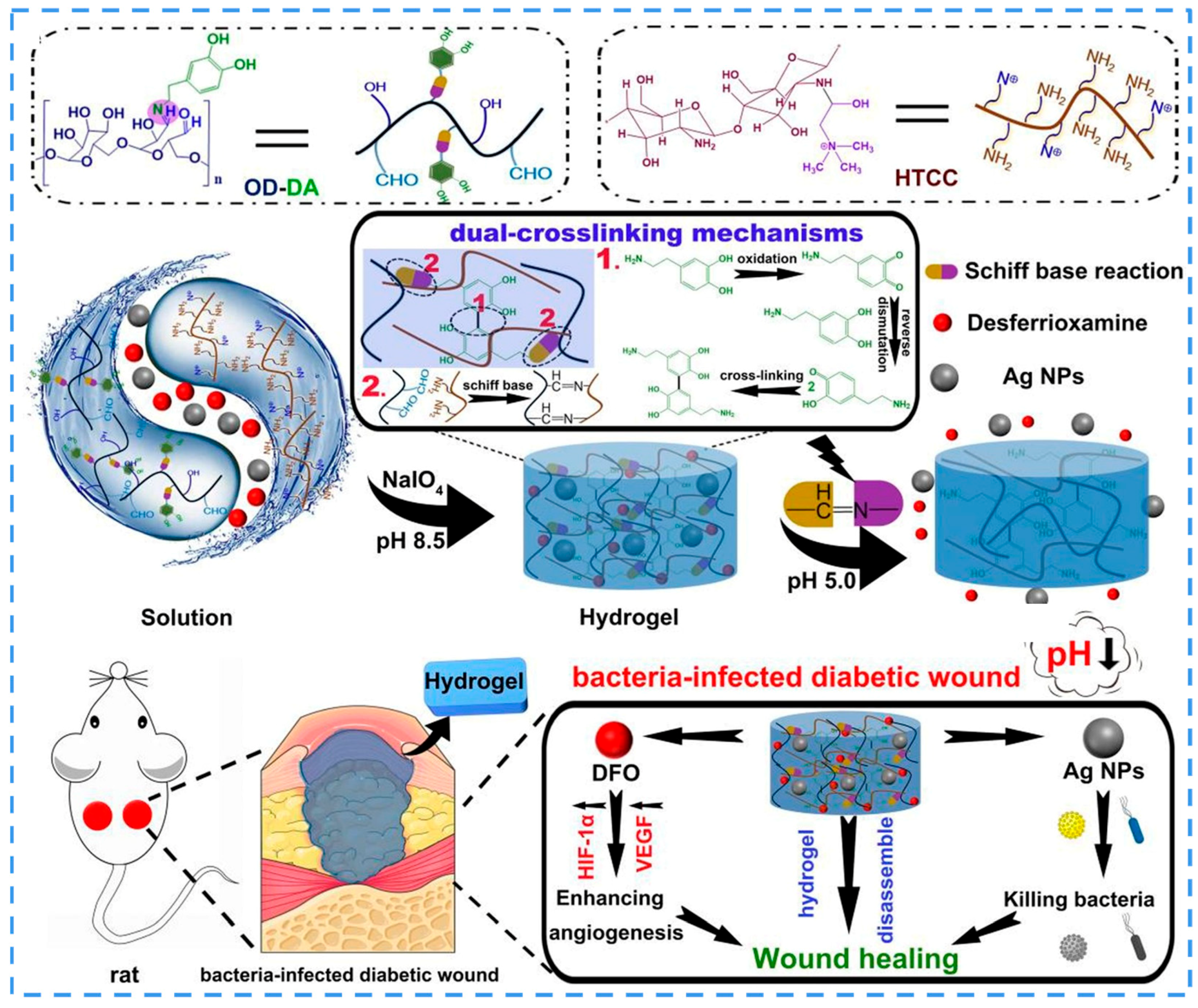 Ijms 24 00336 g009 Ijms 24 00336 g009