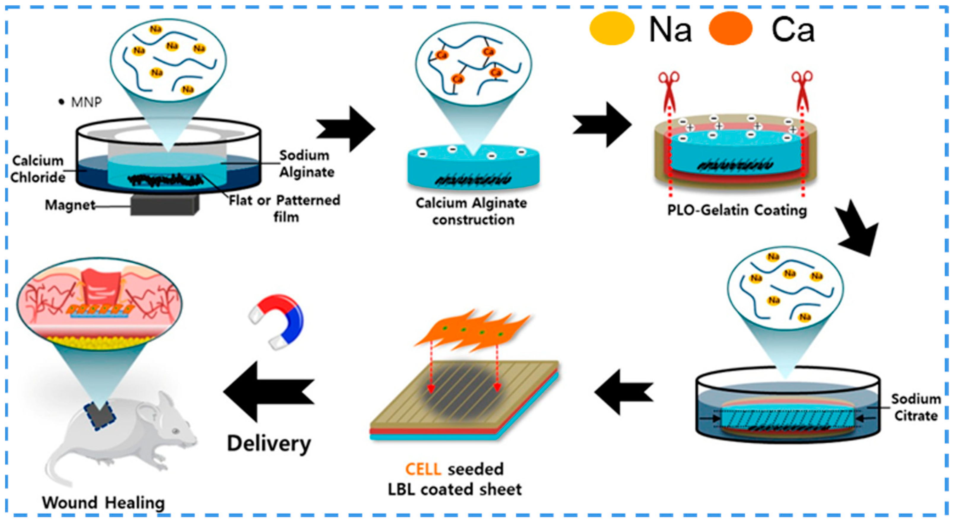 Ijms 24 00336 g010 Ijms 24 00336 g010