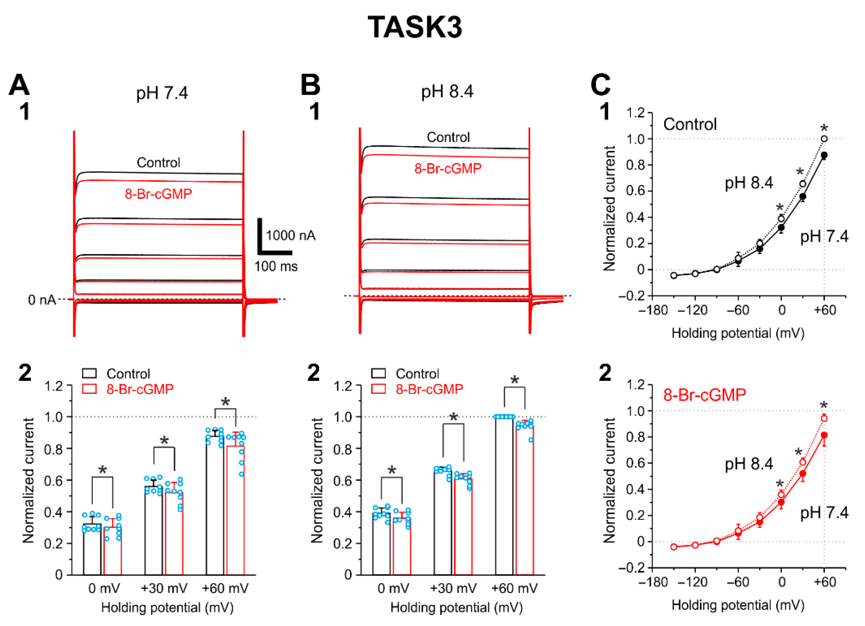 Ijms 24 00344 g002 Ijms 24 00344 g002