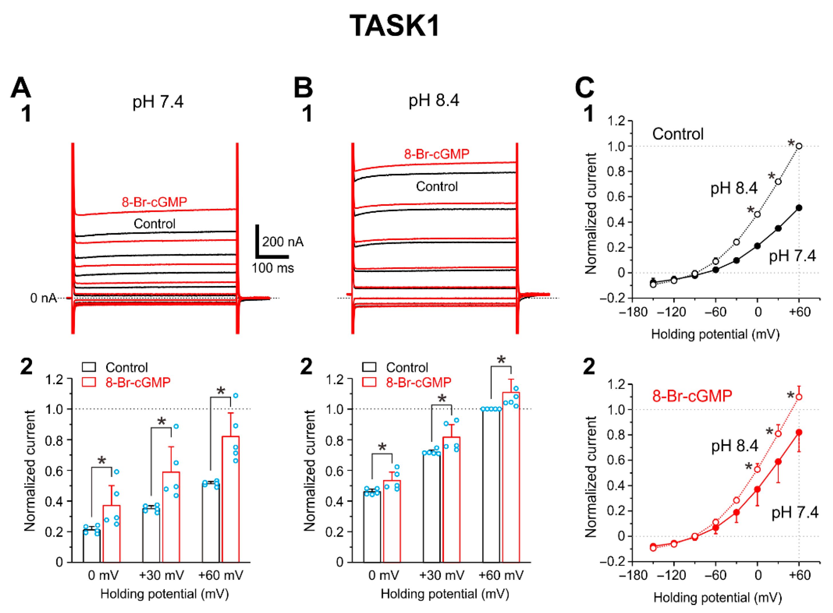 Ijms 24 00344 g003 Ijms 24 00344 g003