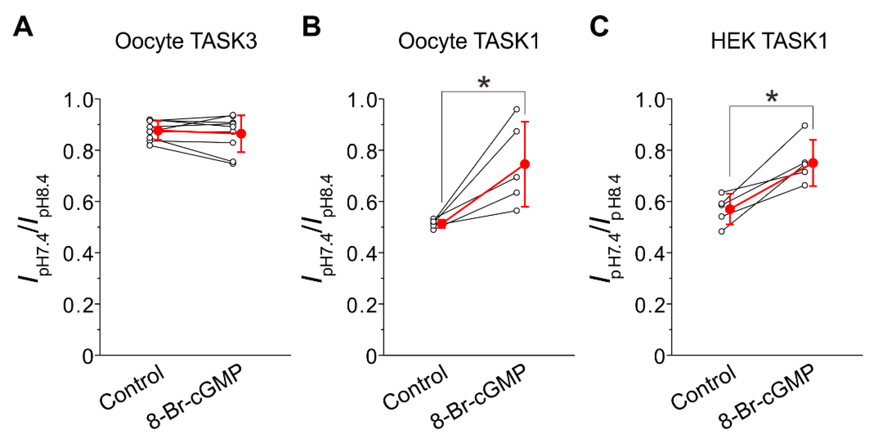 Ijms 24 00344 g004 Ijms 24 00344 g004