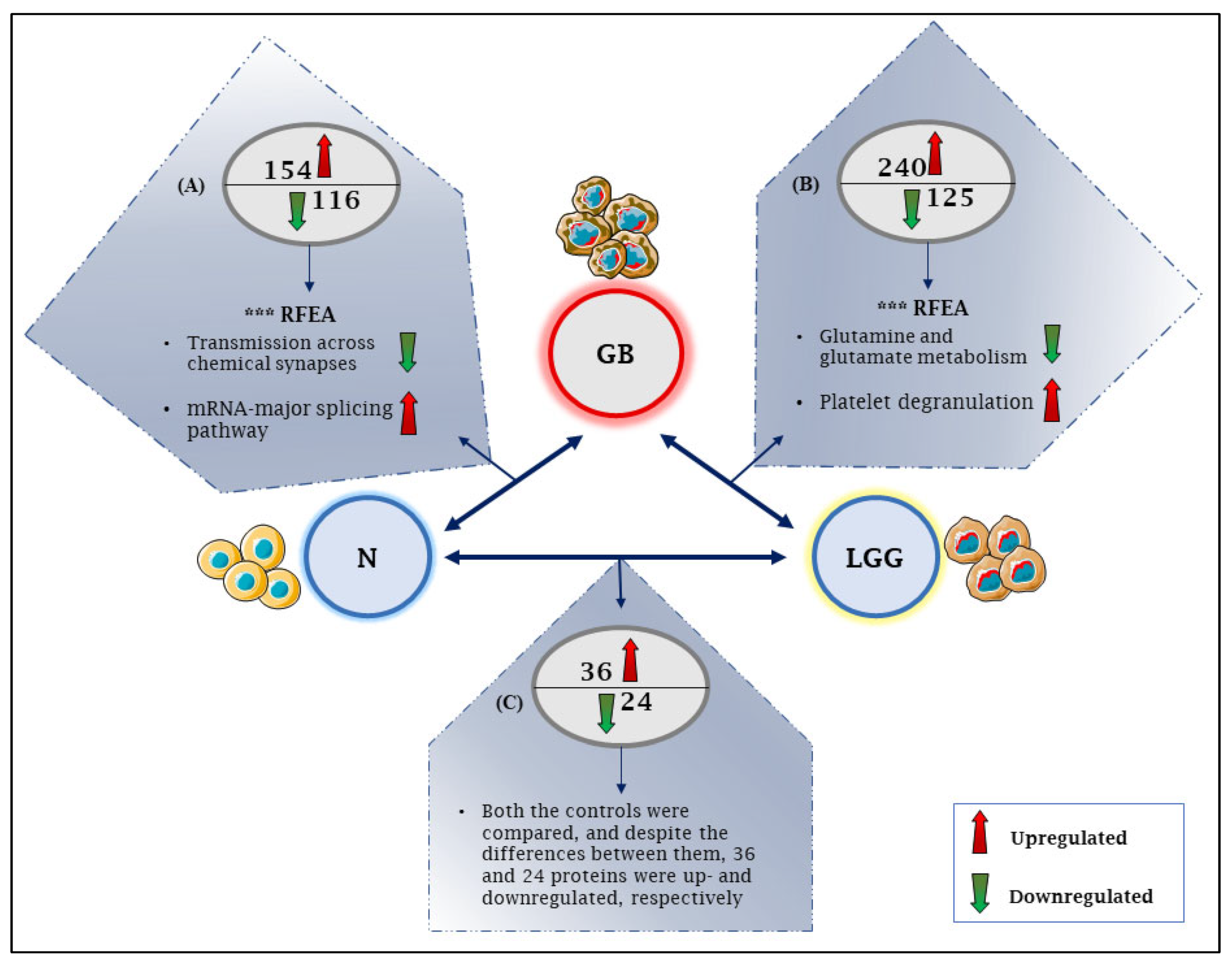 Ijms 24 00348 g002 Ijms 24 00348 g002