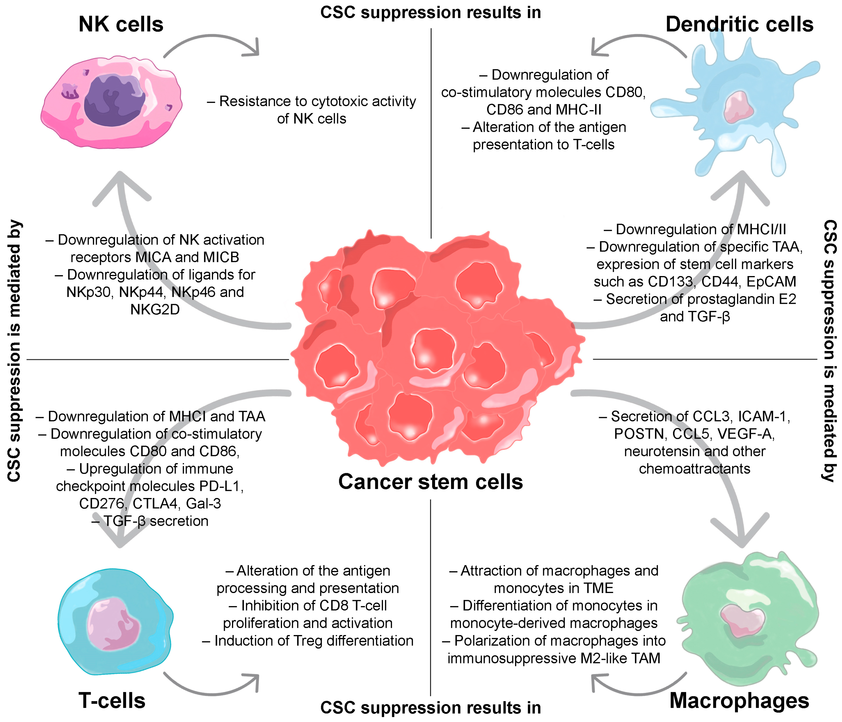 Ijms 24 00395 g001 Ijms 24 00395 g001