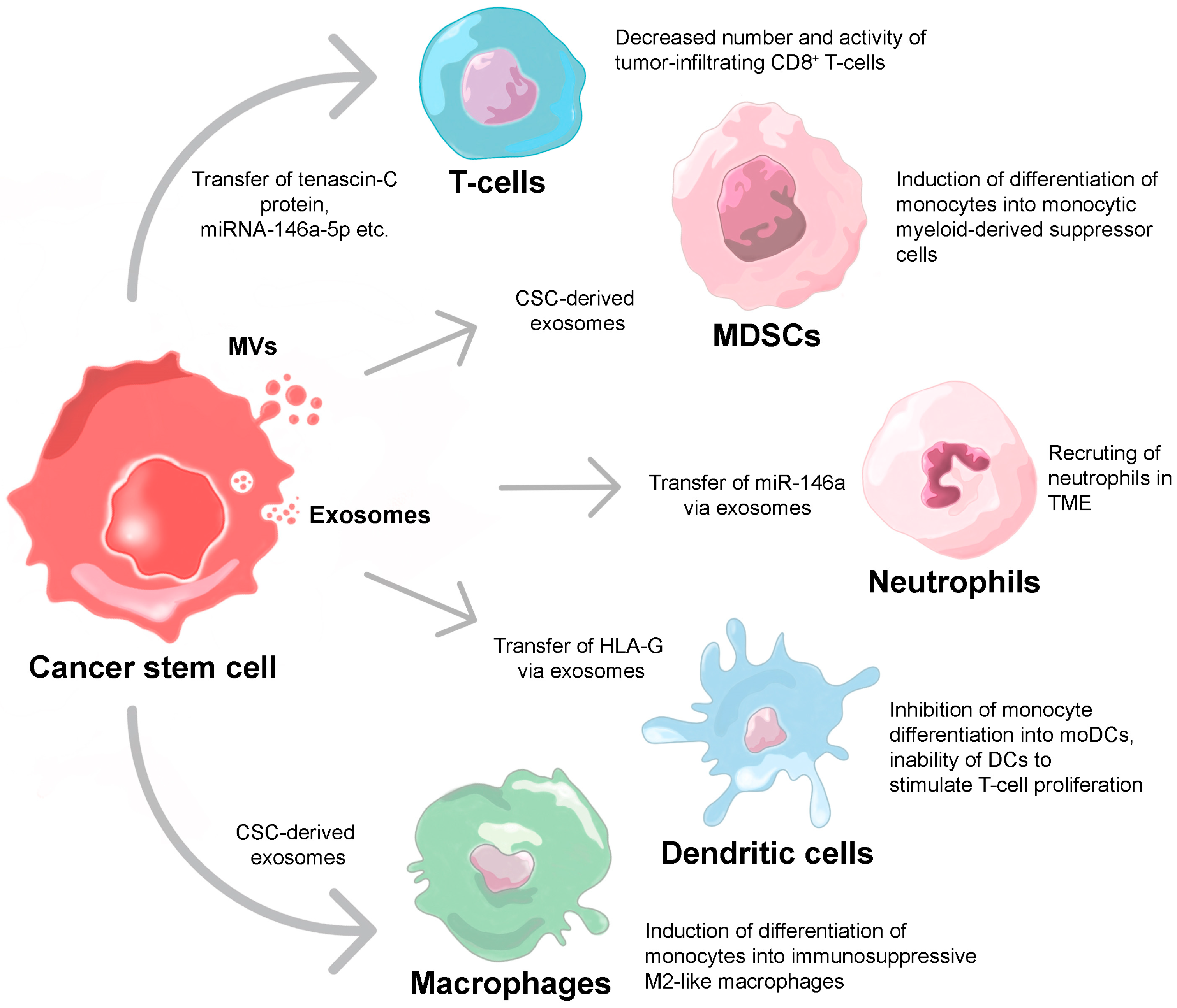 Ijms 24 00395 g002 Ijms 24 00395 g002