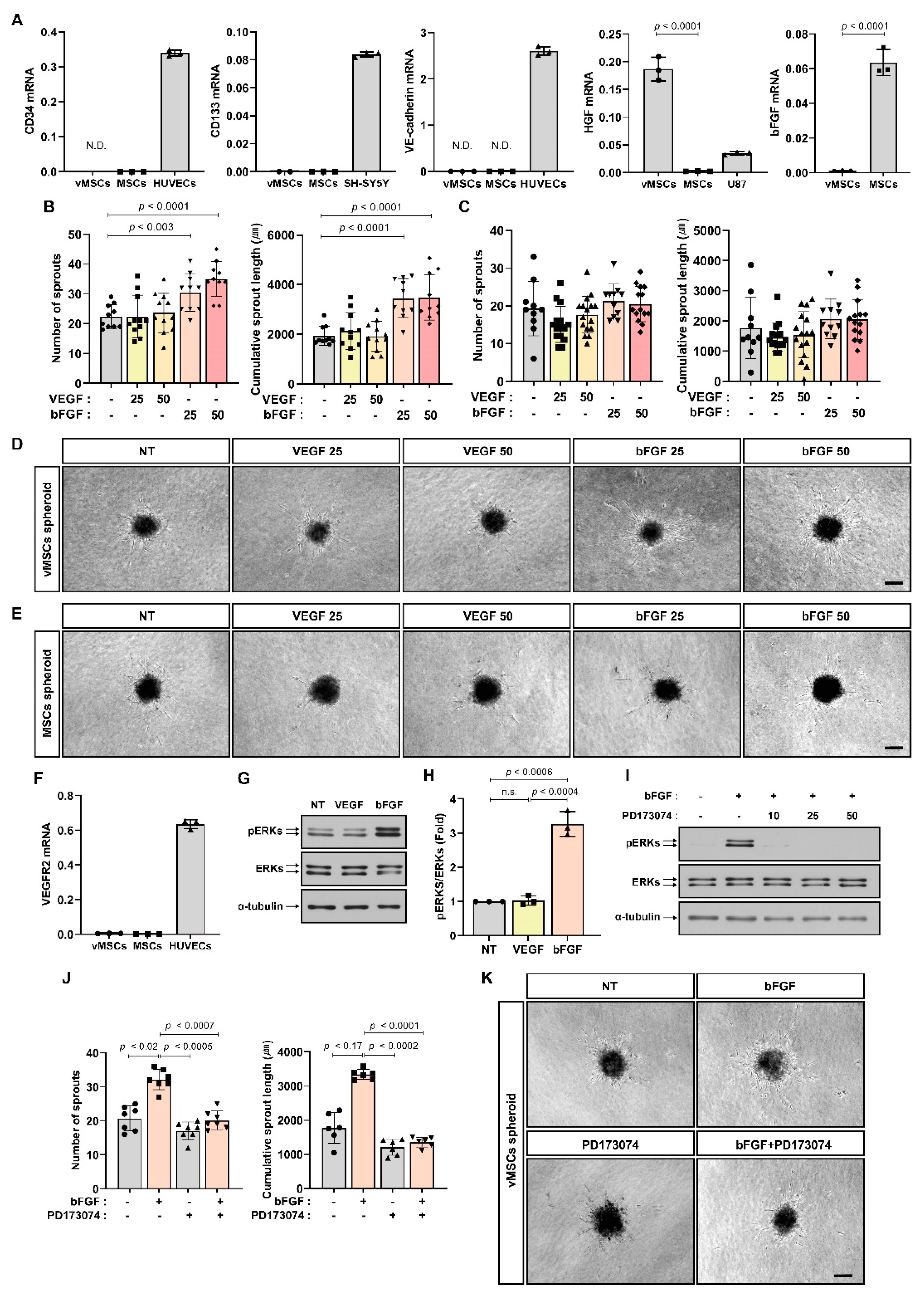 Ijms 24 00413 g001 Ijms 24 00413 g001