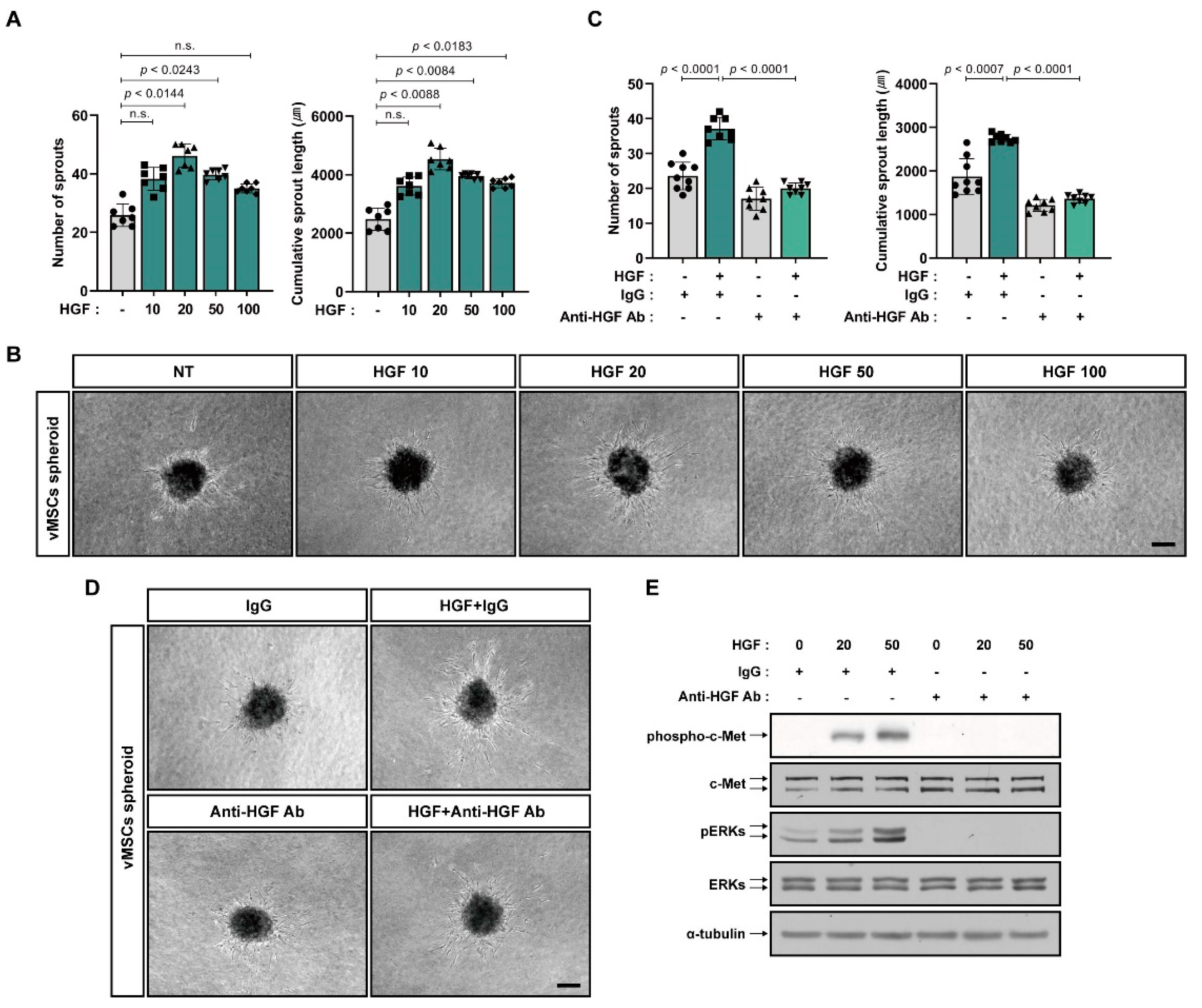 Ijms 24 00413 g002 Ijms 24 00413 g002