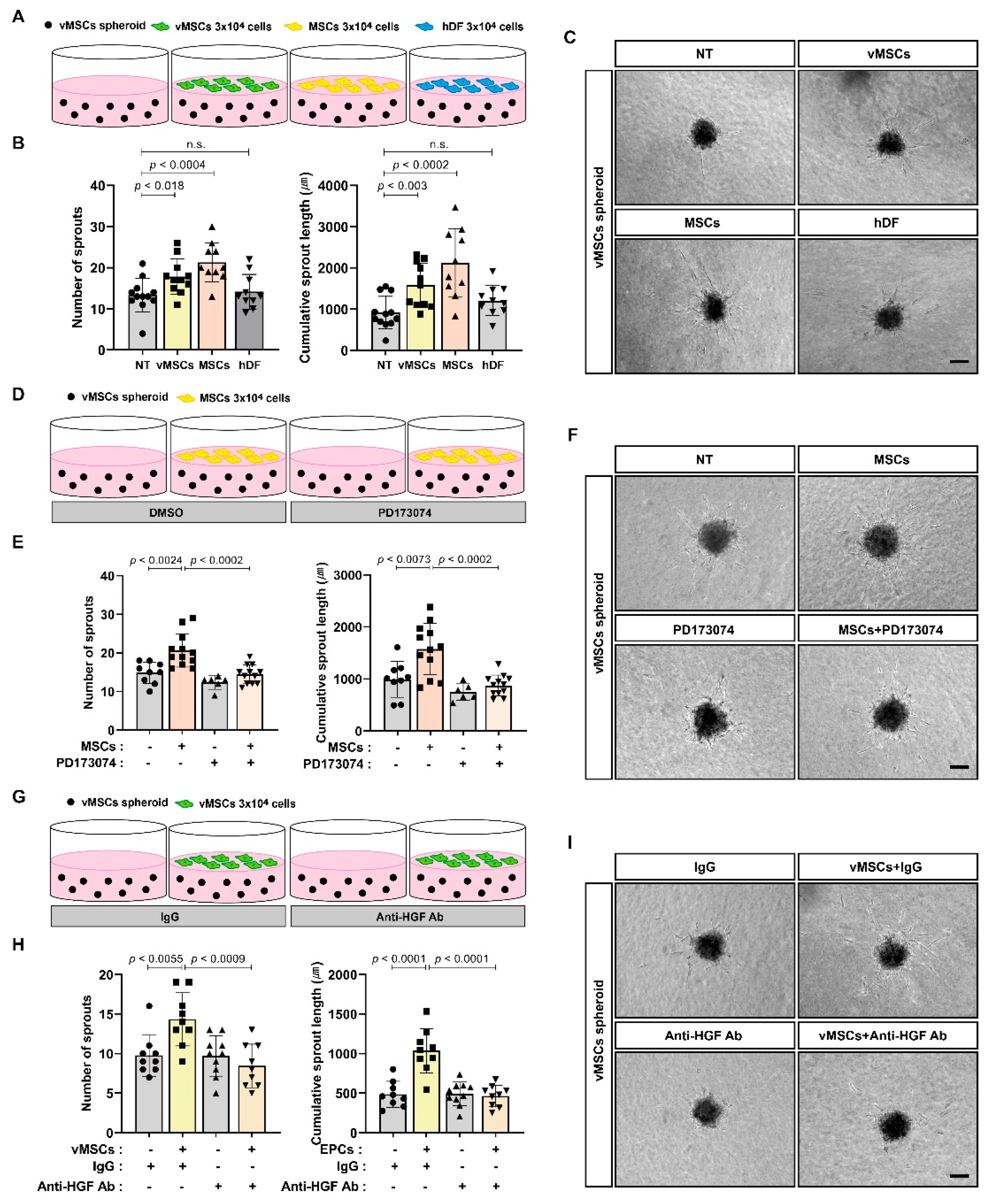 Ijms 24 00413 g003 Ijms 24 00413 g003