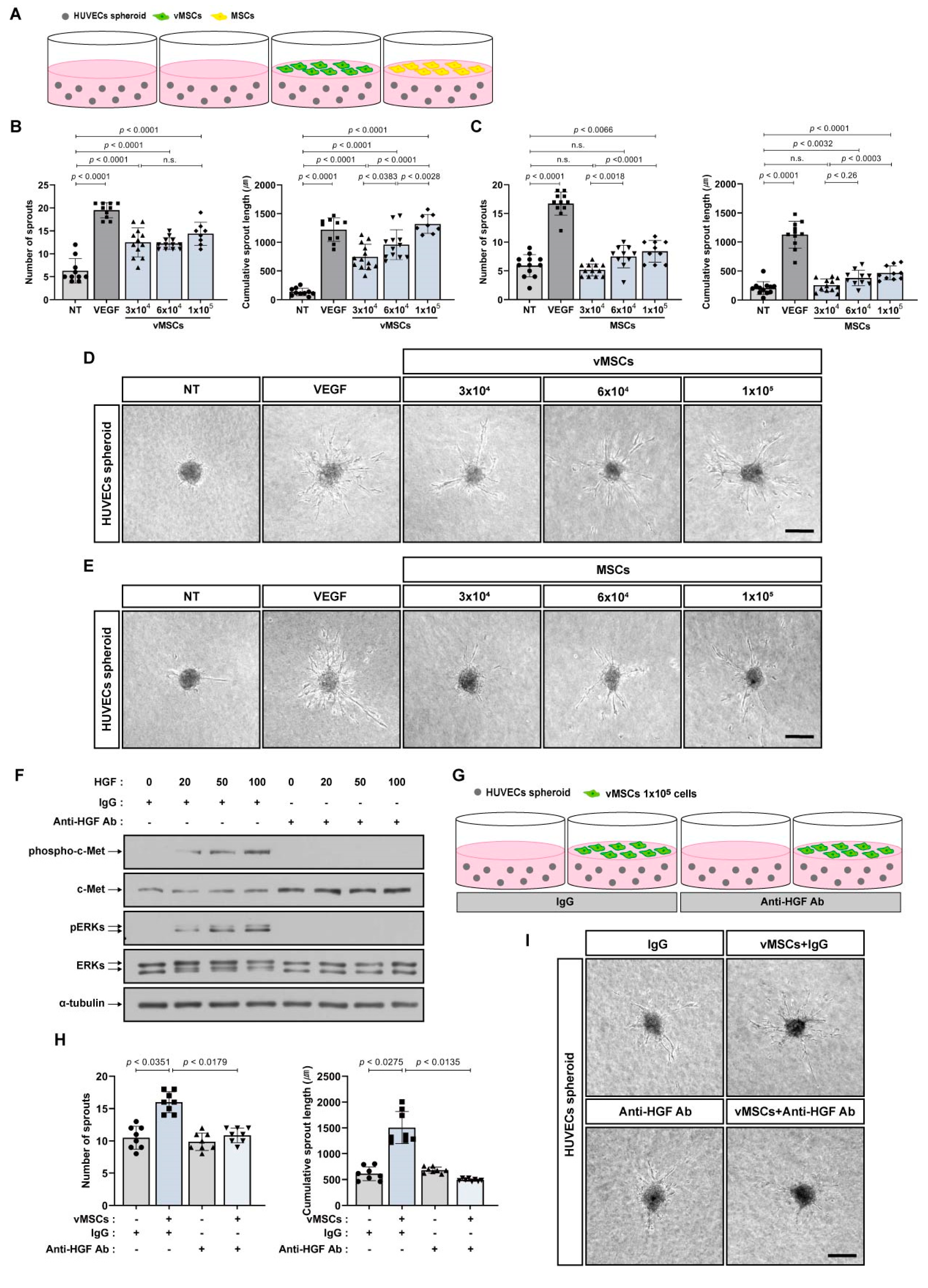 Ijms 24 00413 g004 Ijms 24 00413 g004