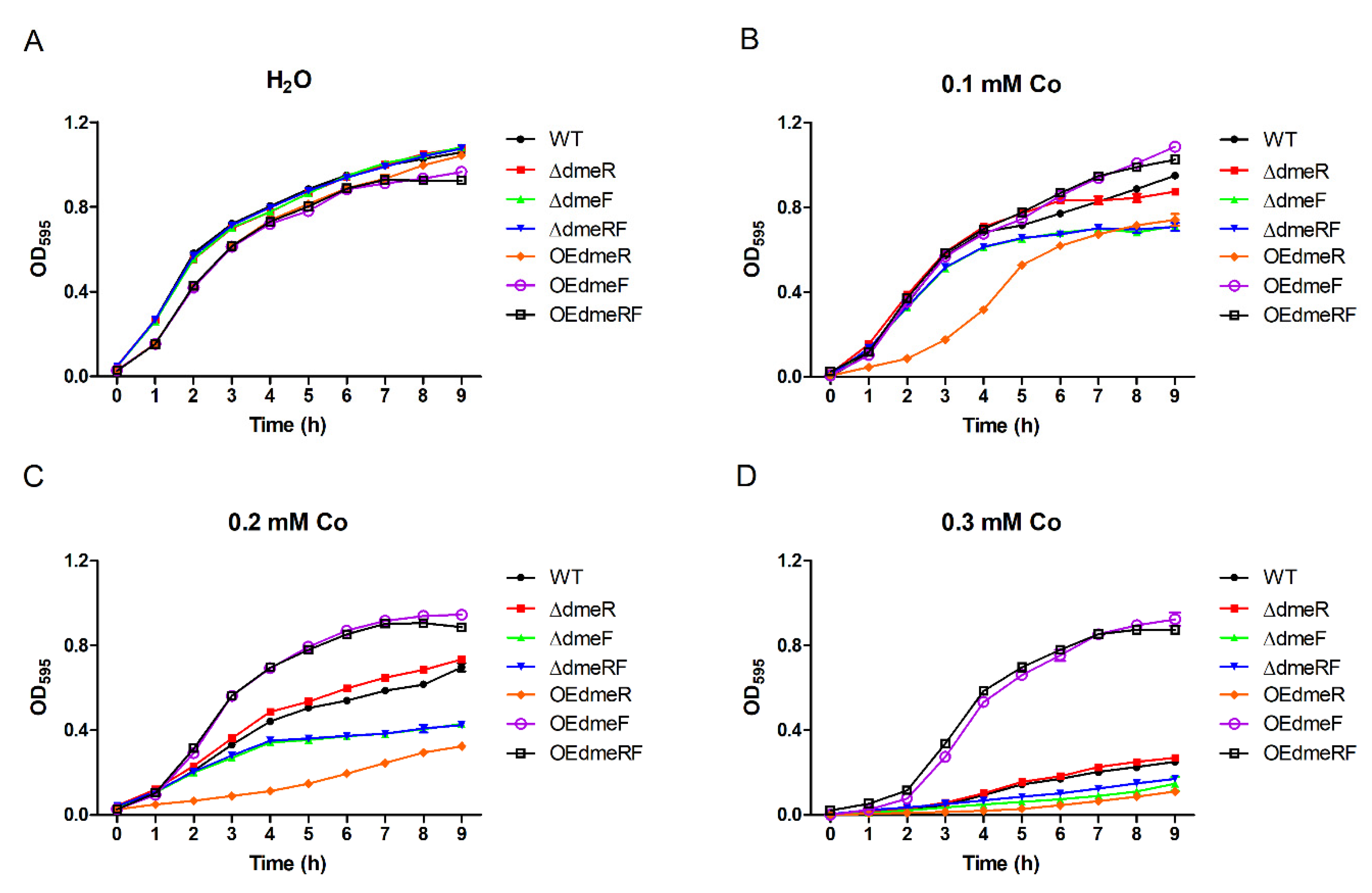 Ijms 24 00414 g004 Ijms 24 00414 g004