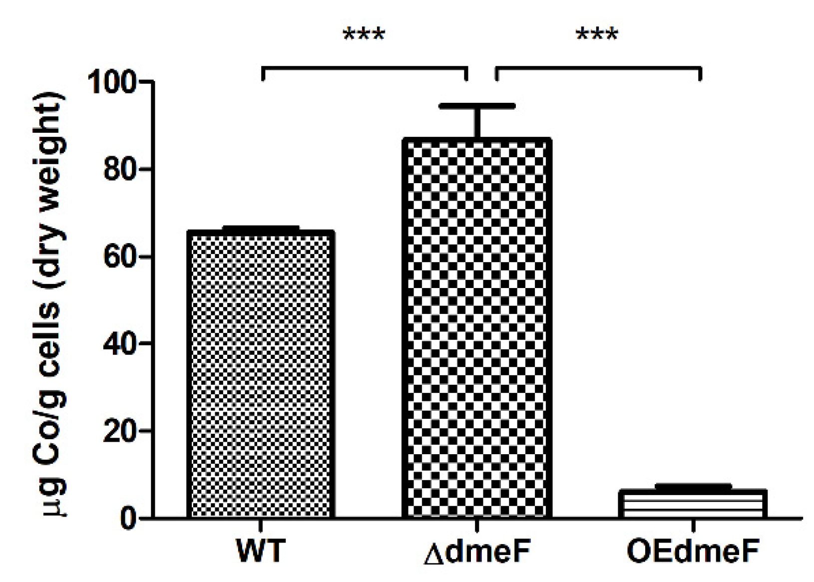 Ijms 24 00414 g006 Ijms 24 00414 g006