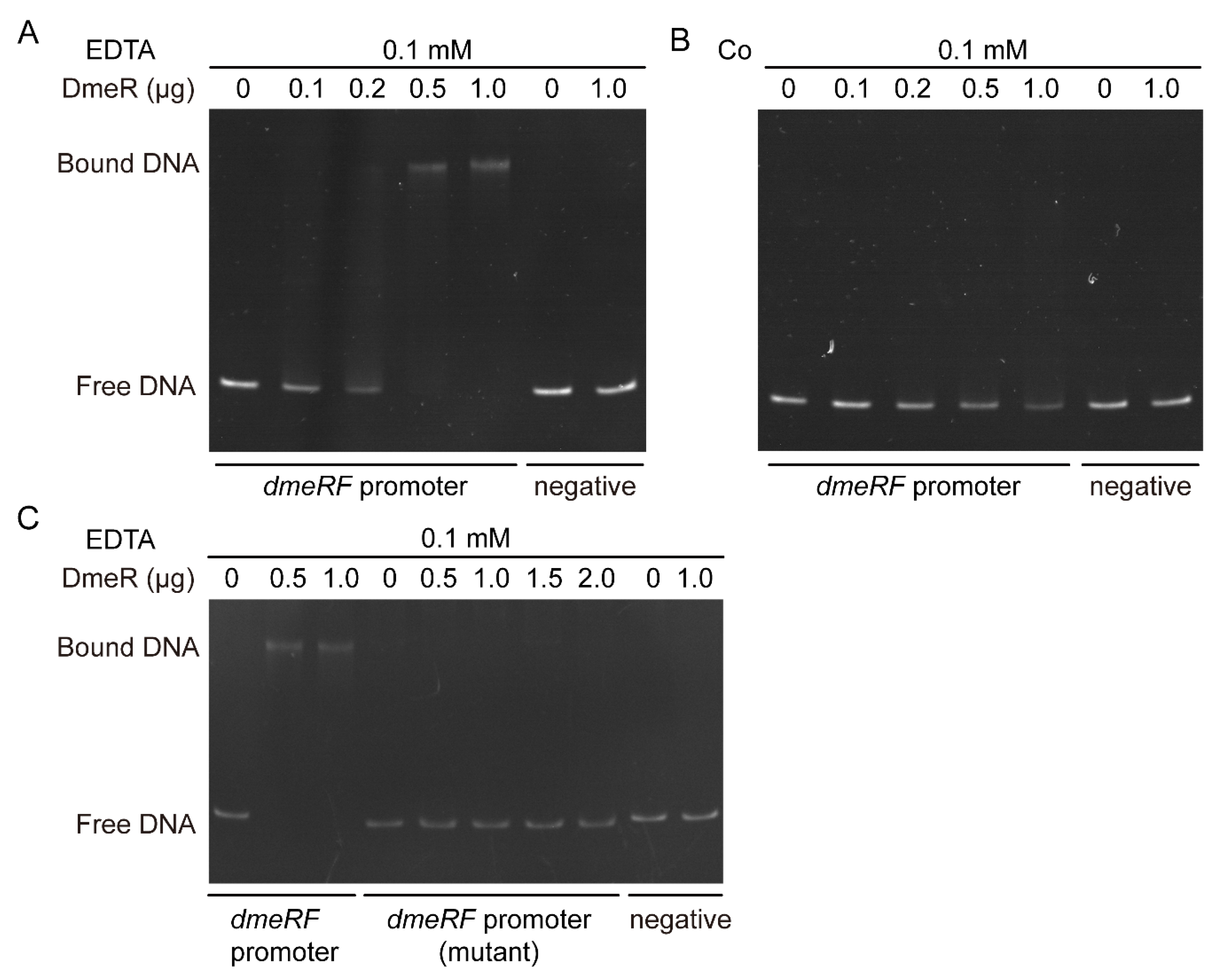 Ijms 24 00414 g008 Ijms 24 00414 g008
