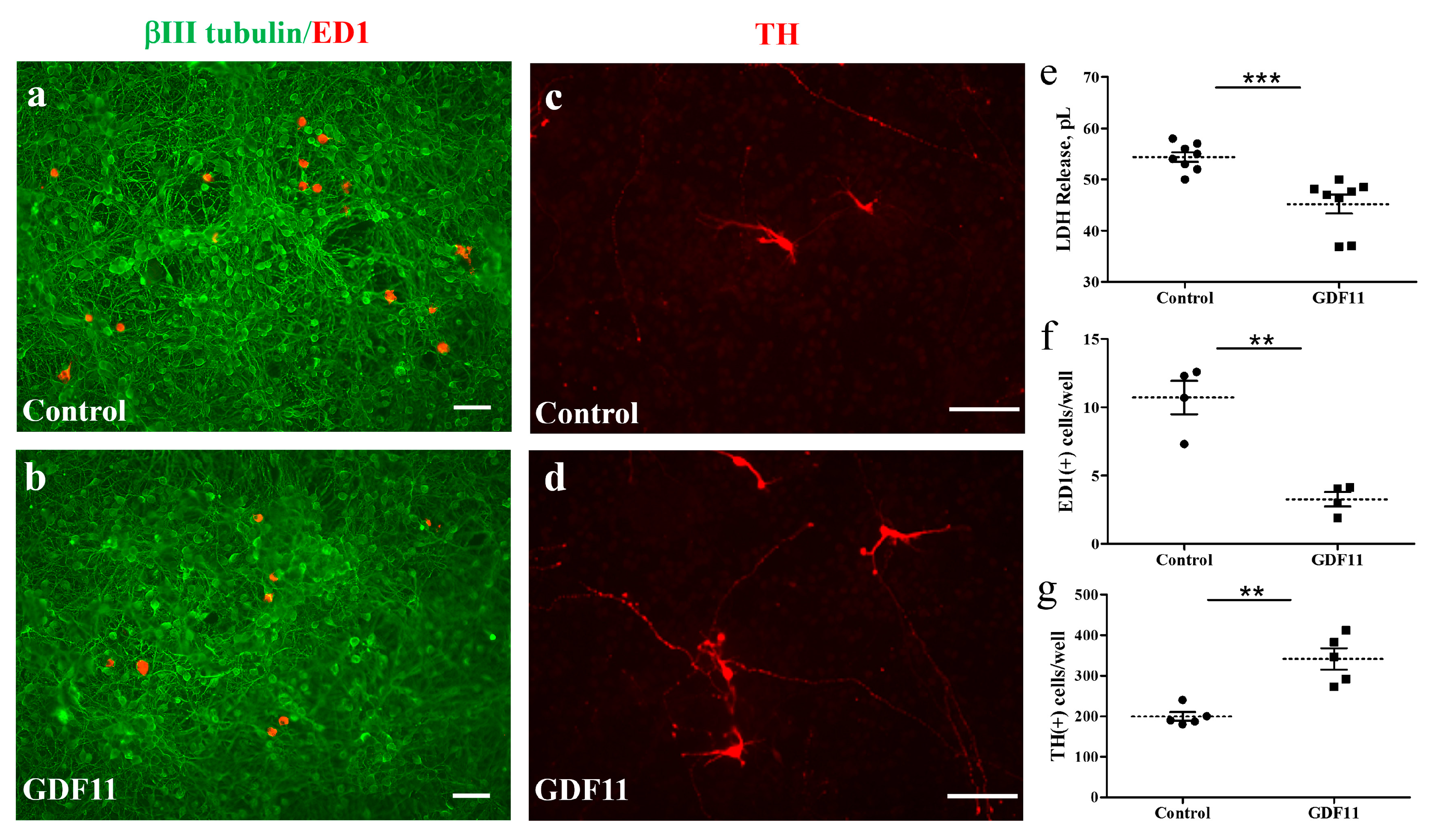 Ijms 24 00421 g001 Ijms 24 00421 g001