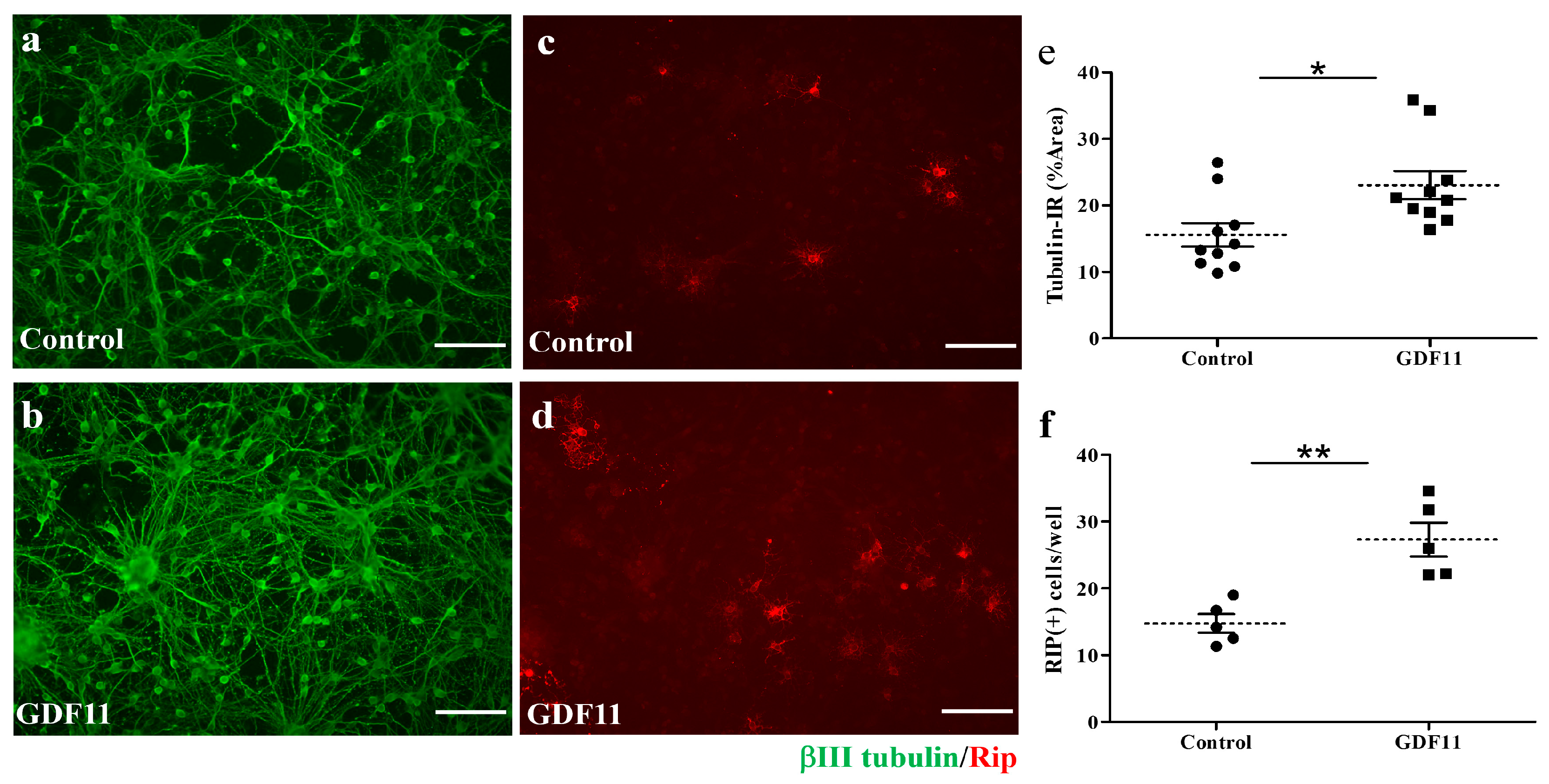 Ijms 24 00421 g002 Ijms 24 00421 g002