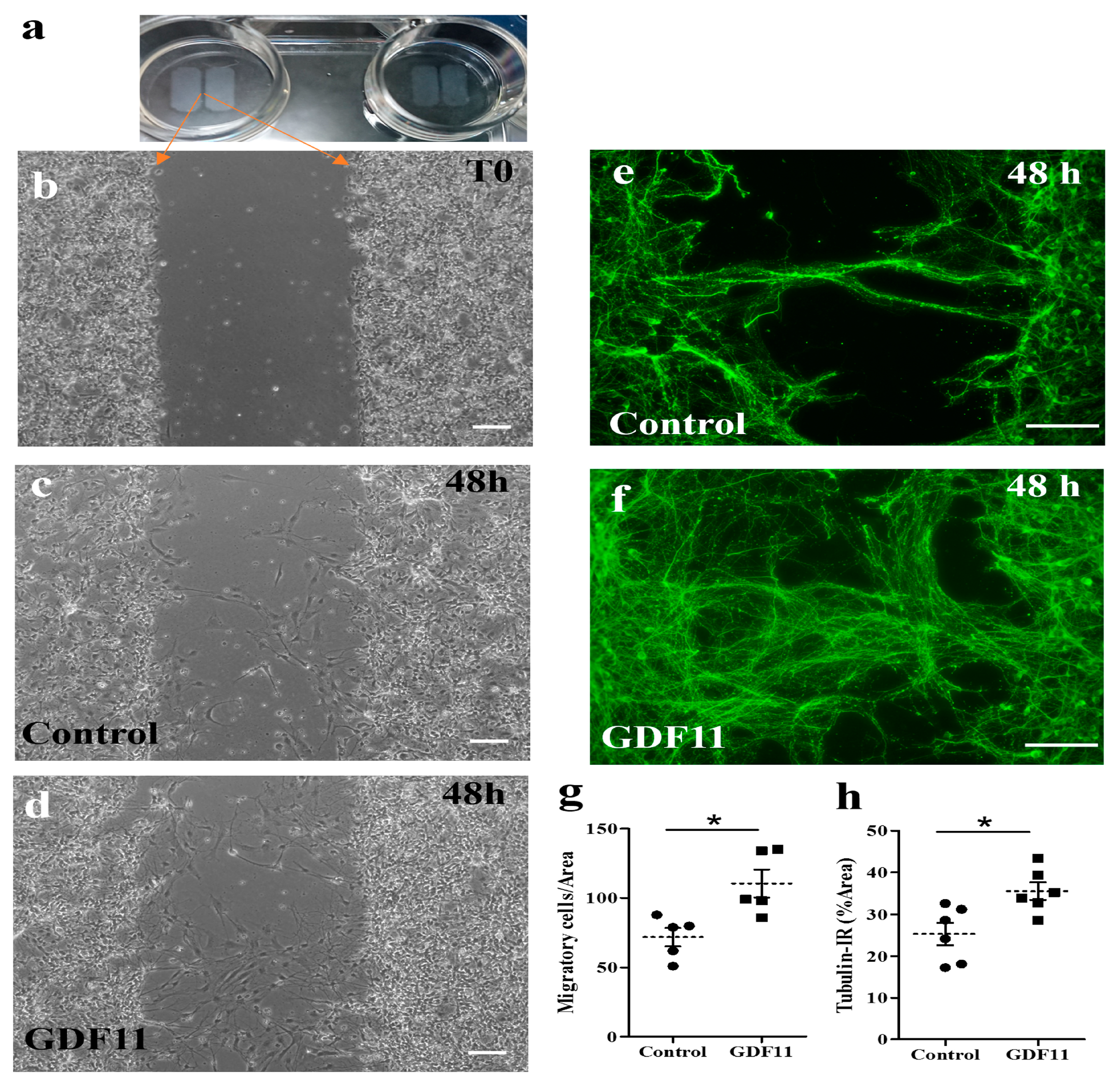 Ijms 24 00421 g003 Ijms 24 00421 g003