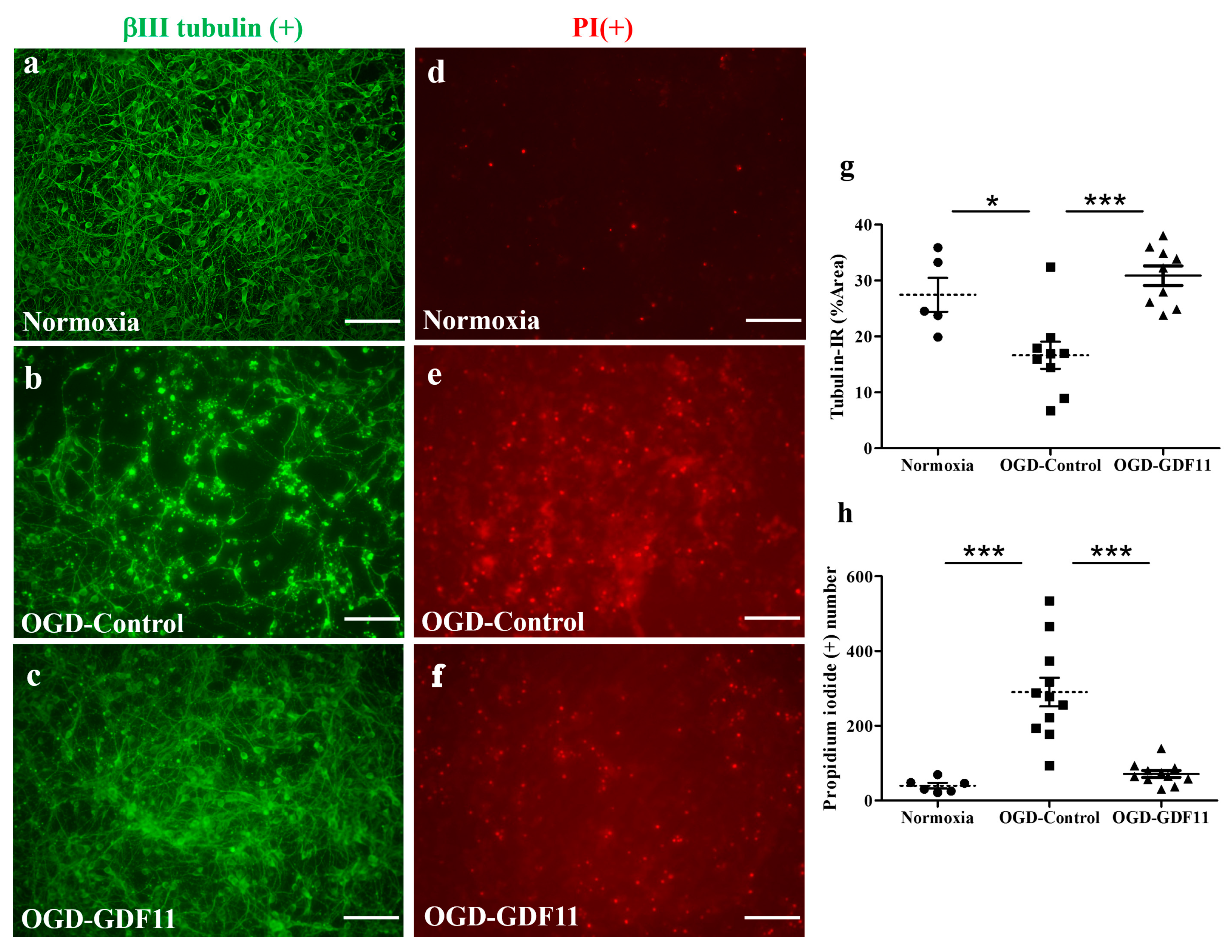 Ijms 24 00421 g004 Ijms 24 00421 g004