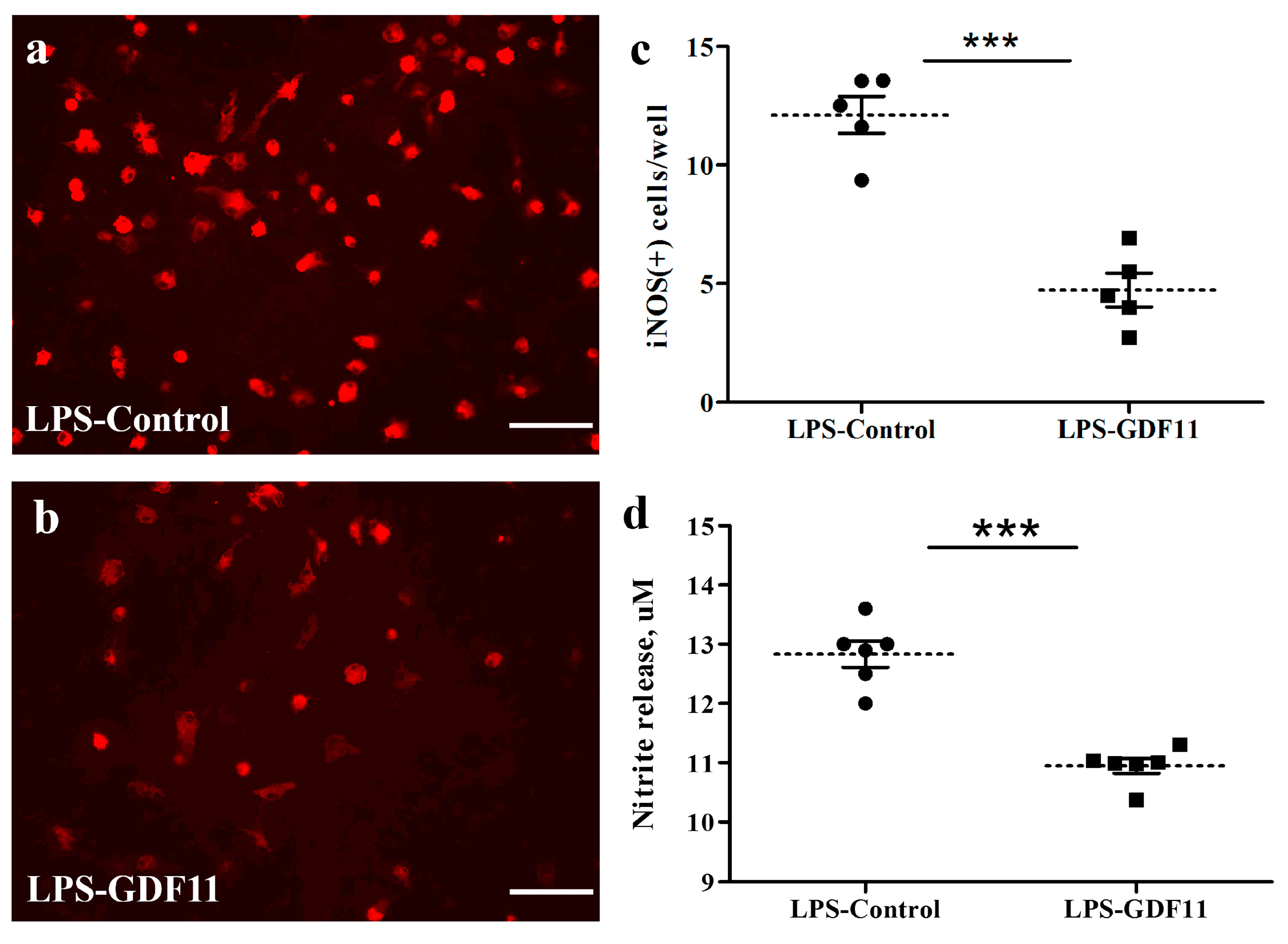 Ijms 24 00421 g005 Ijms 24 00421 g005
