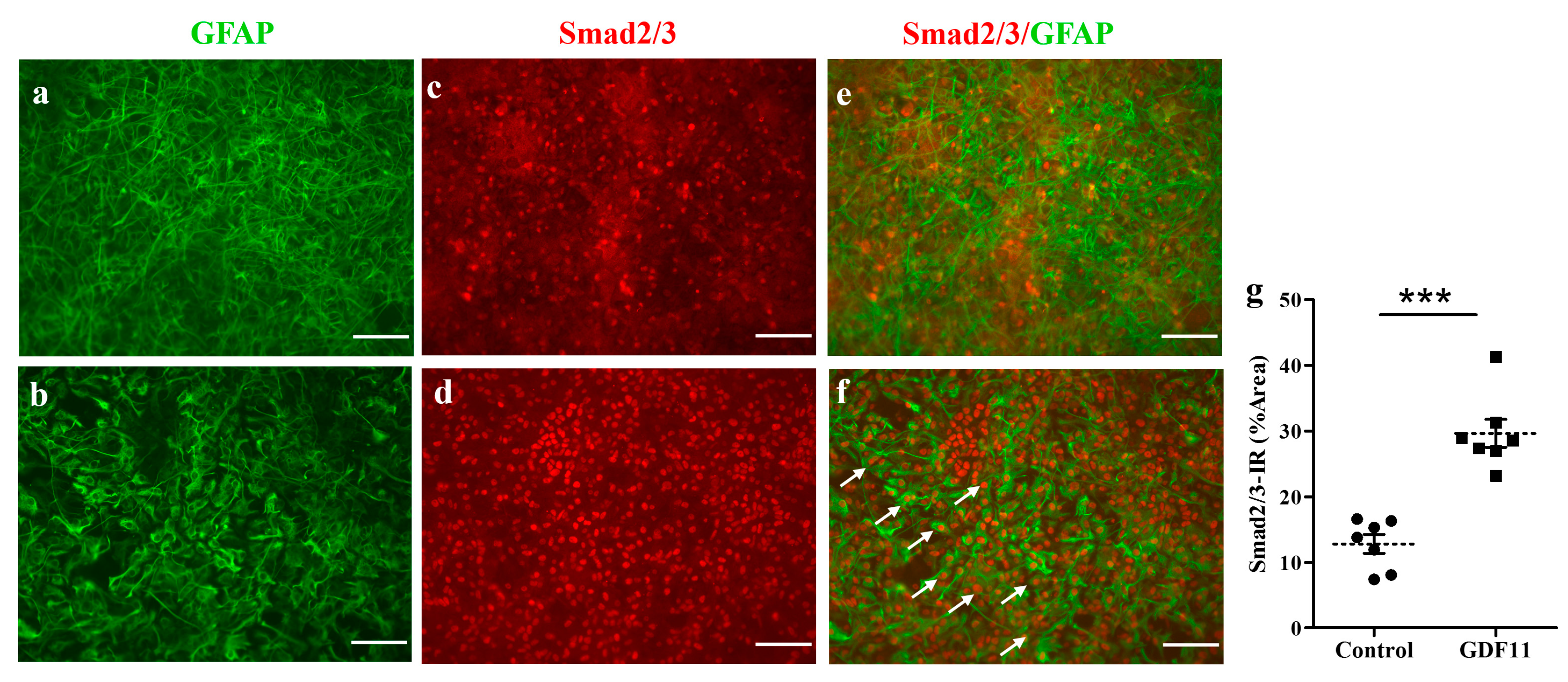 Ijms 24 00421 g006 Ijms 24 00421 g006