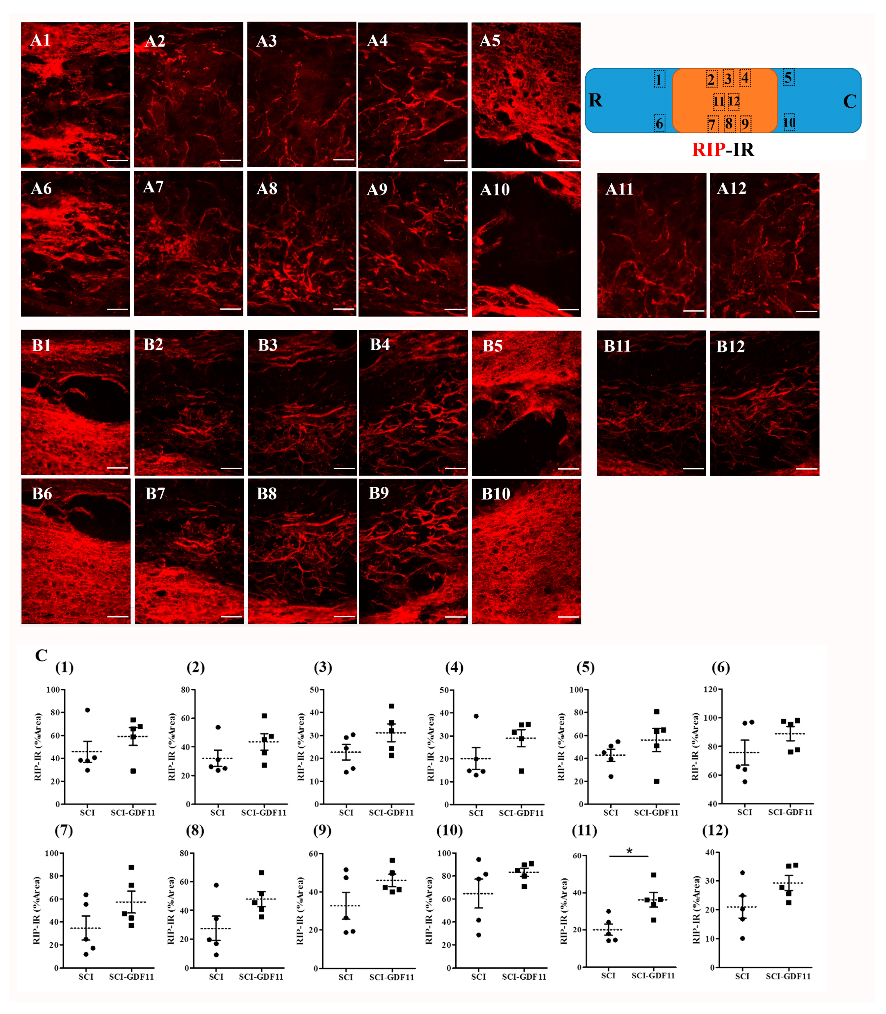Ijms 24 00421 g009 Ijms 24 00421 g009