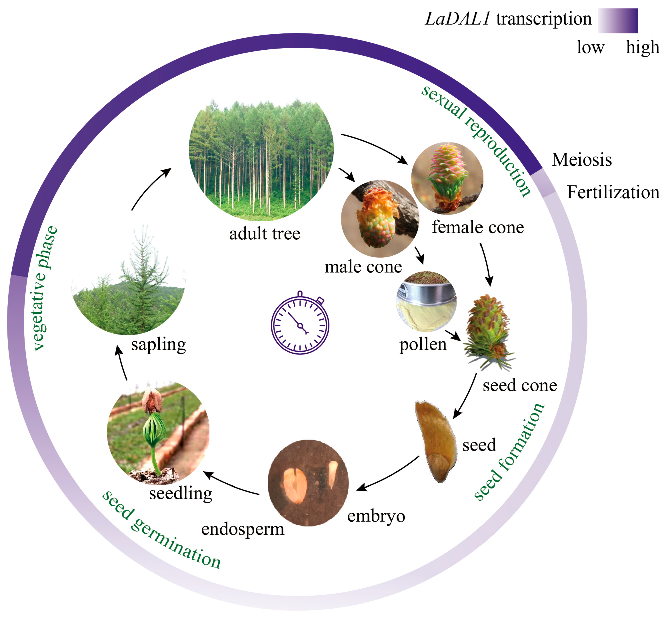 Ijms 24 00426 g004 Ijms 24 00426 g004