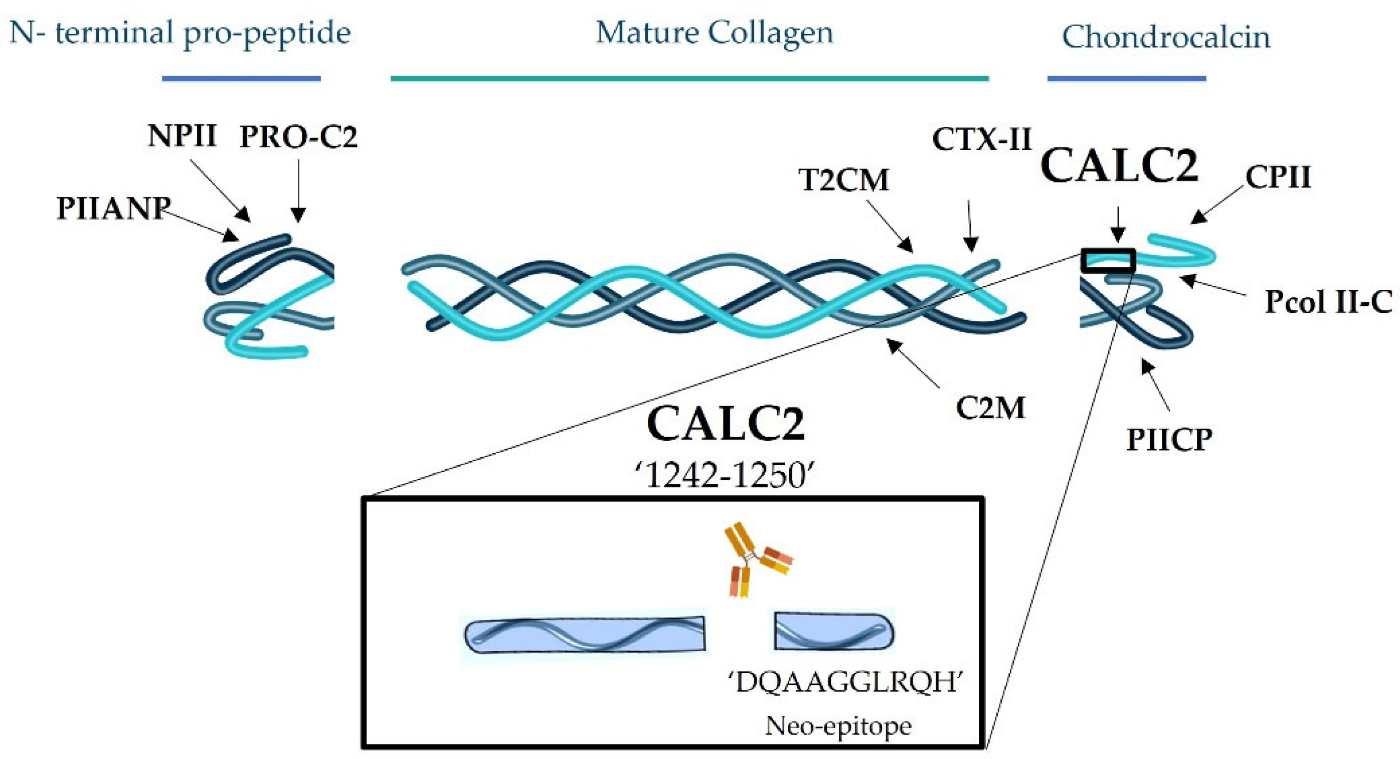 Ijms 24 00454 g001 Ijms 24 00454 g001