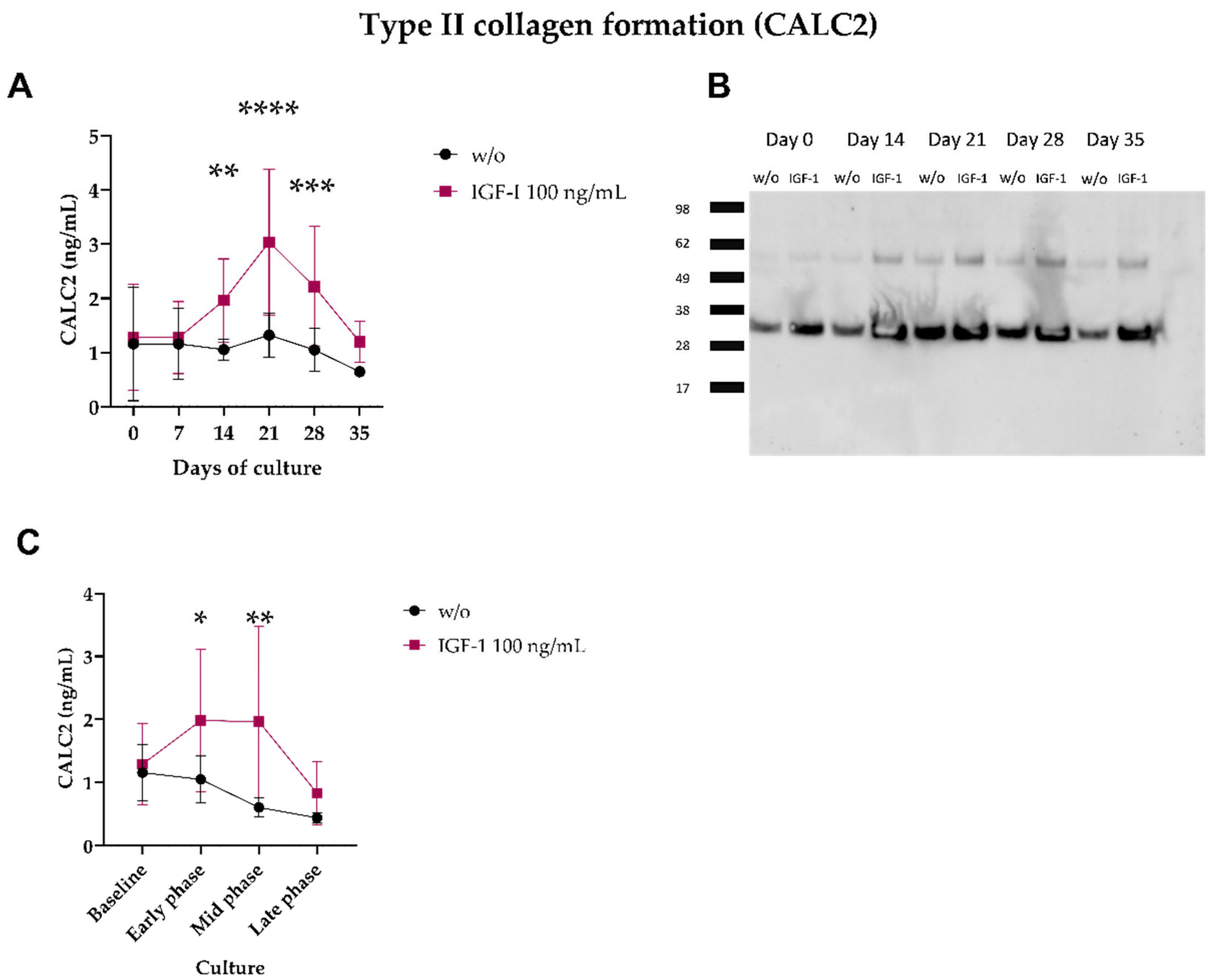 Ijms 24 00454 g004 Ijms 24 00454 g004