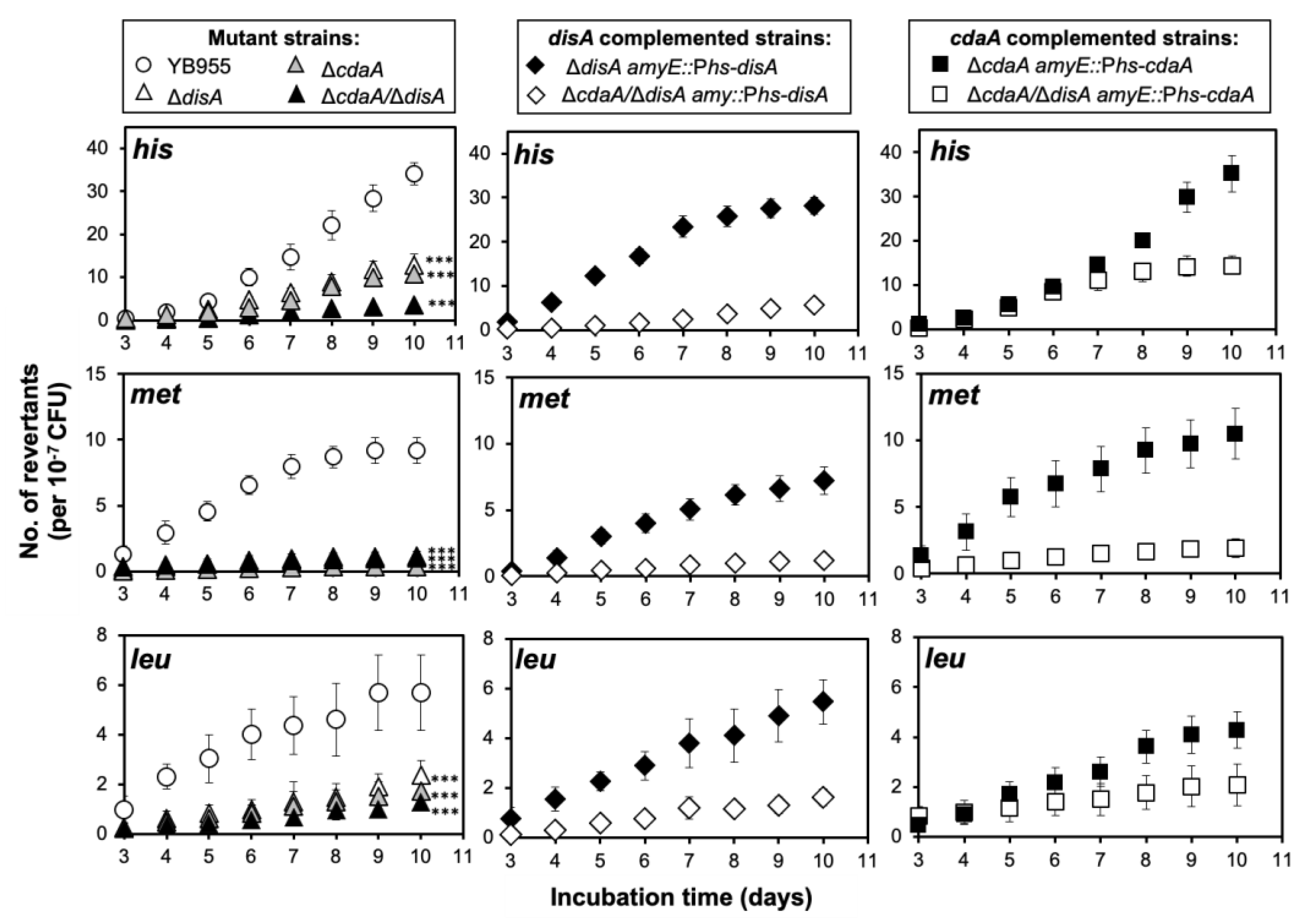 Ijms 24 00455 g005 Ijms 24 00455 g005