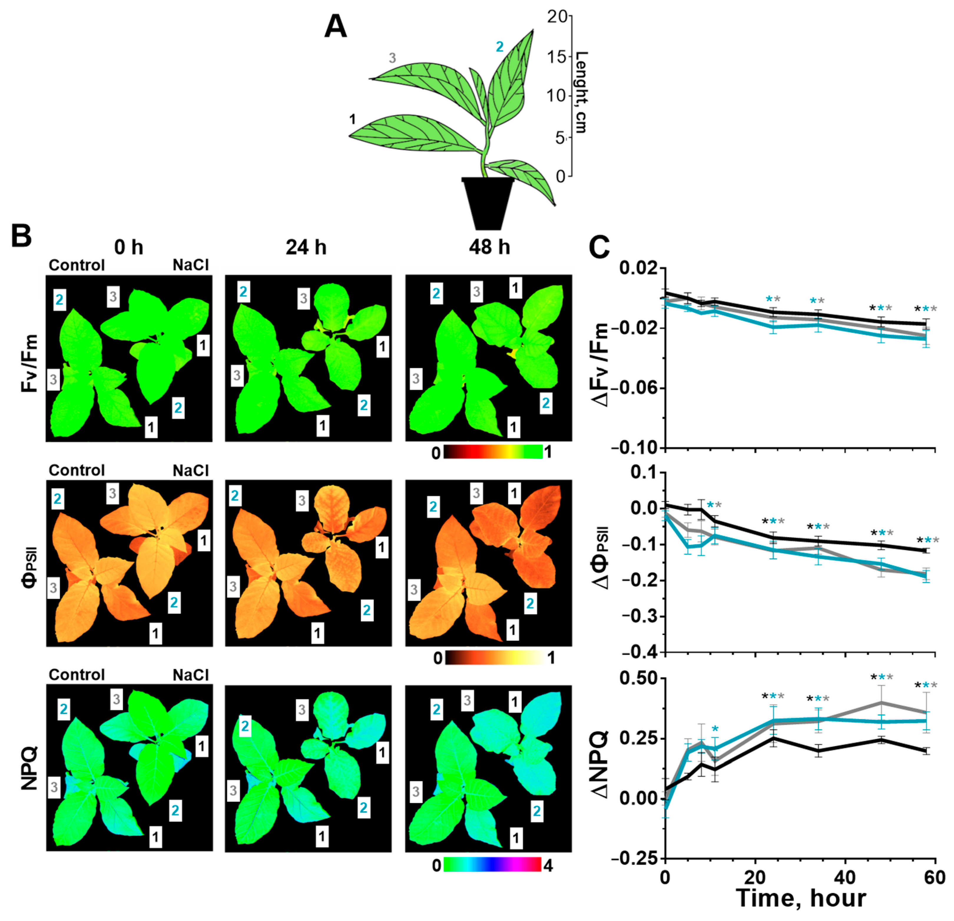 Ijms 24 00491 g001 Ijms 24 00491 g001