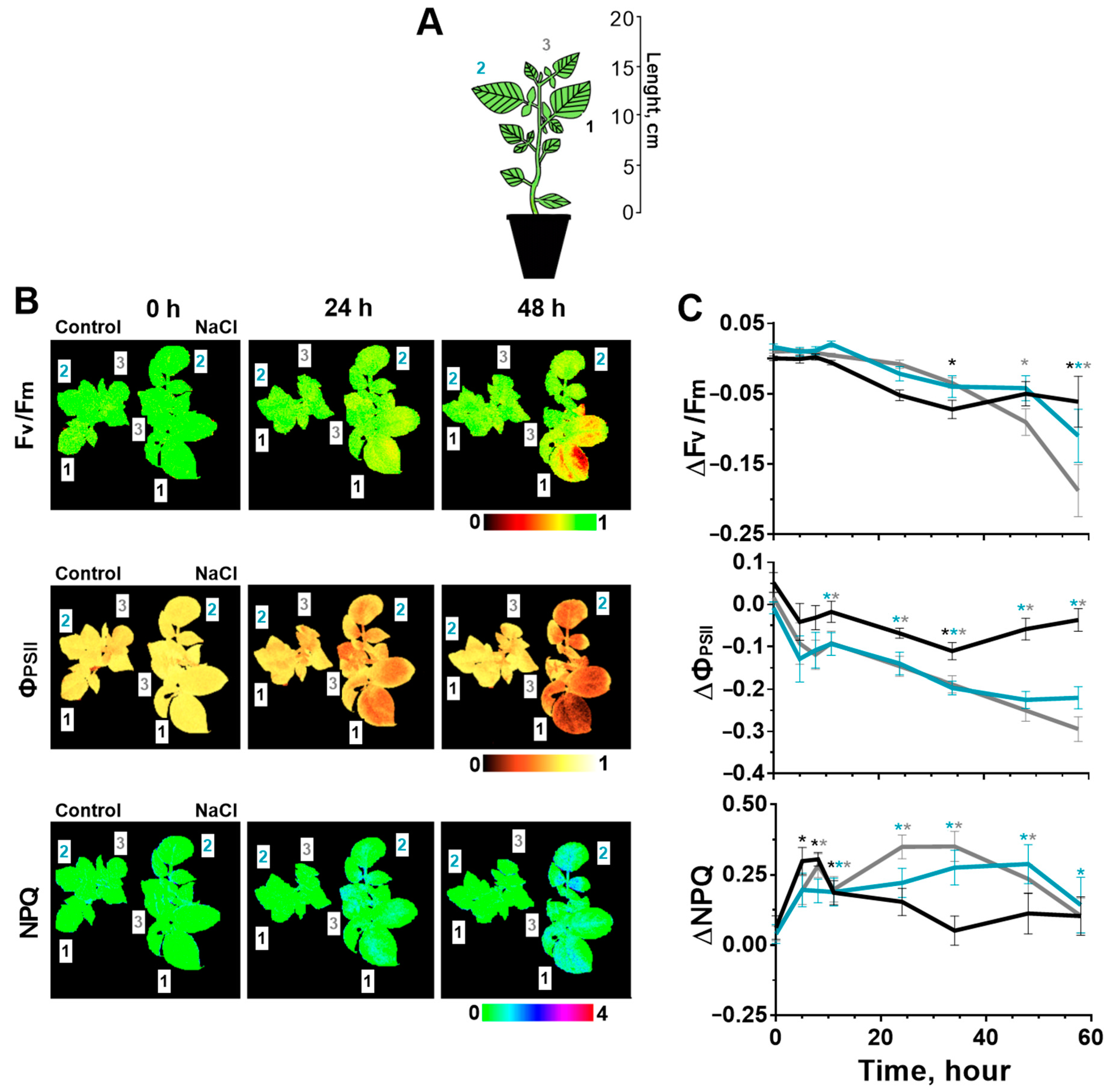 Ijms 24 00491 g002 Ijms 24 00491 g002