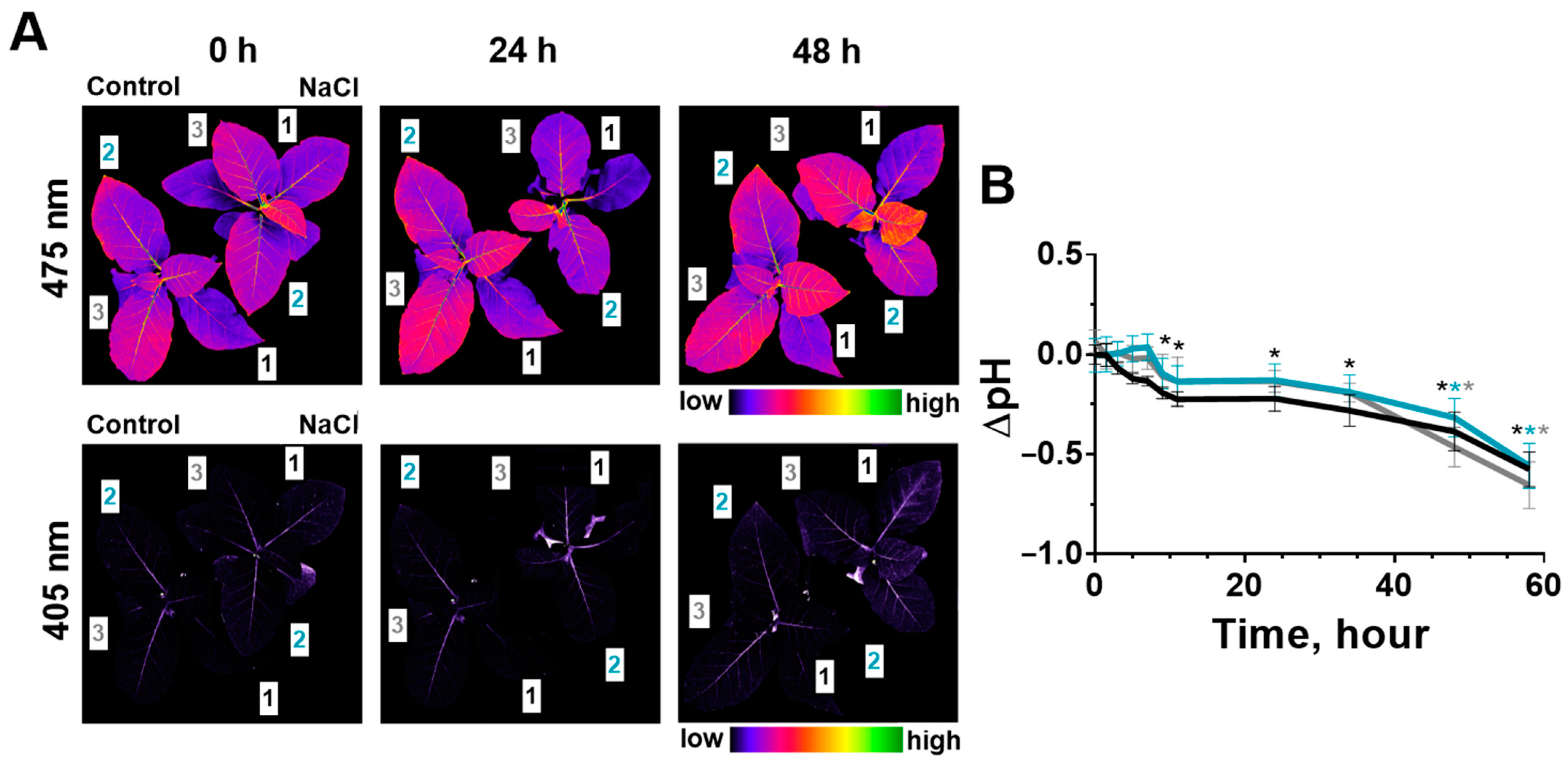 Ijms 24 00491 g005 Ijms 24 00491 g005