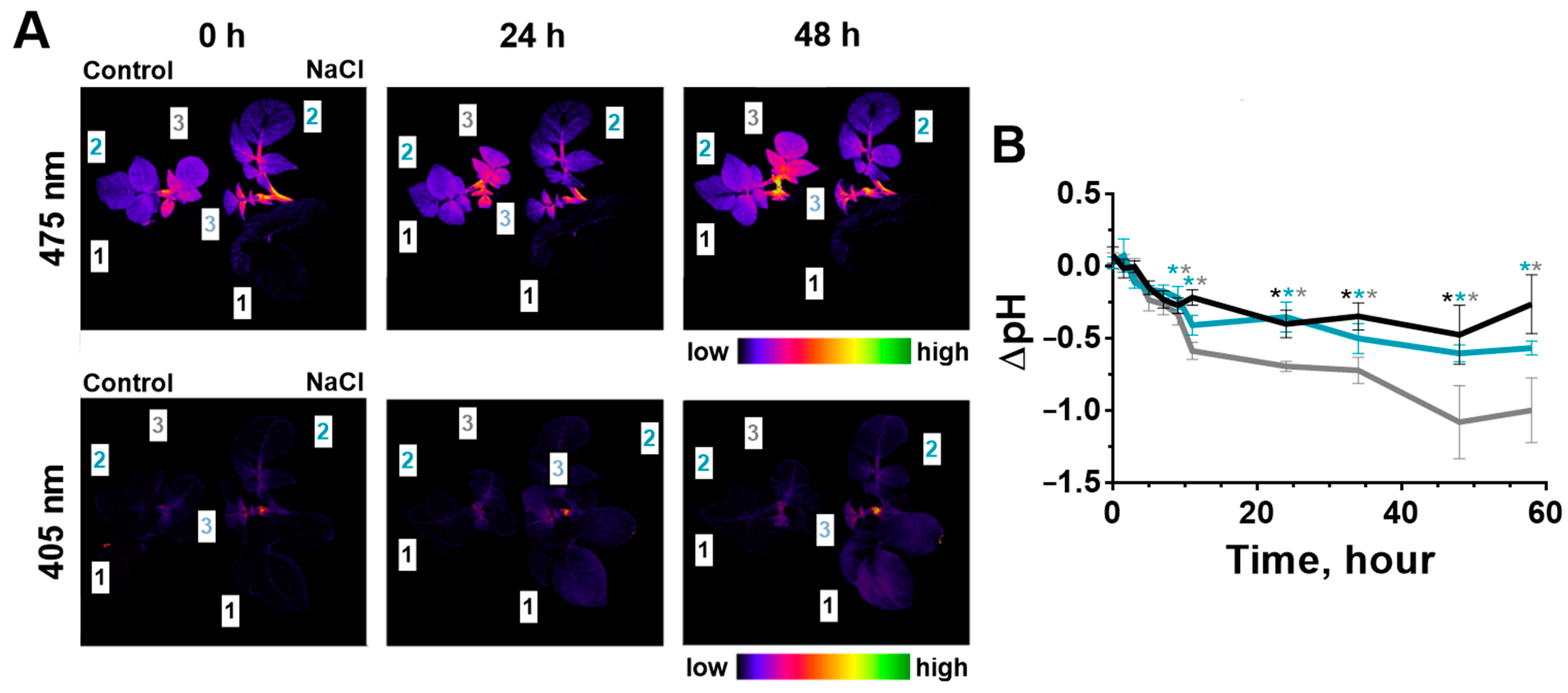 Ijms 24 00491 g006 Ijms 24 00491 g006